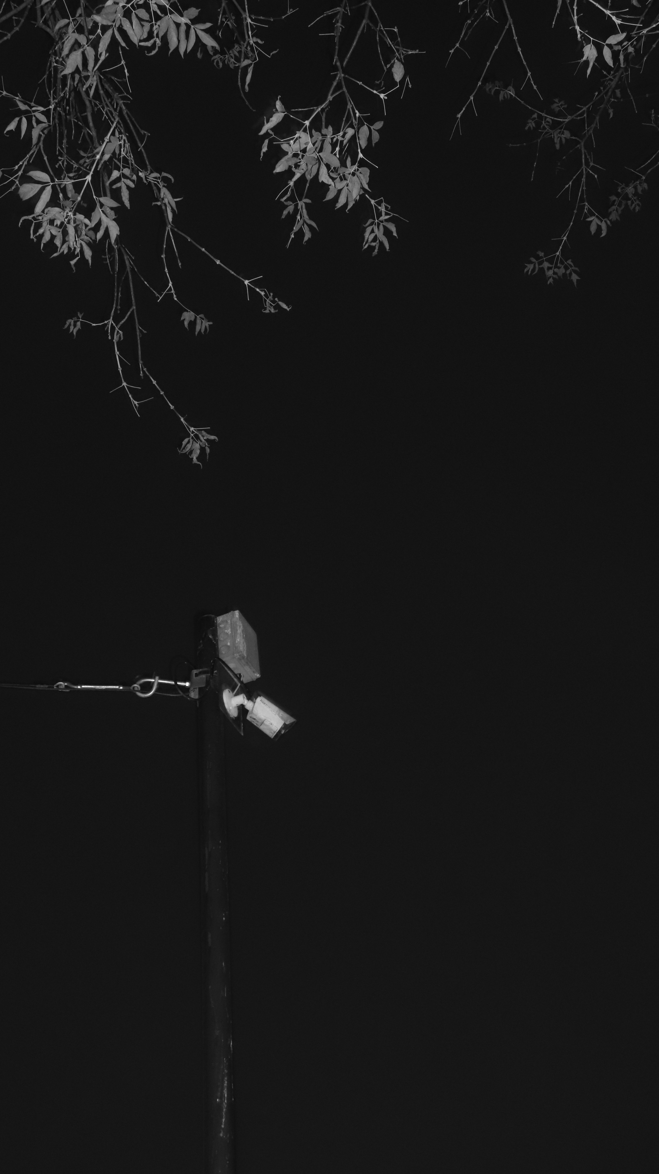 Street. Joseph Anton