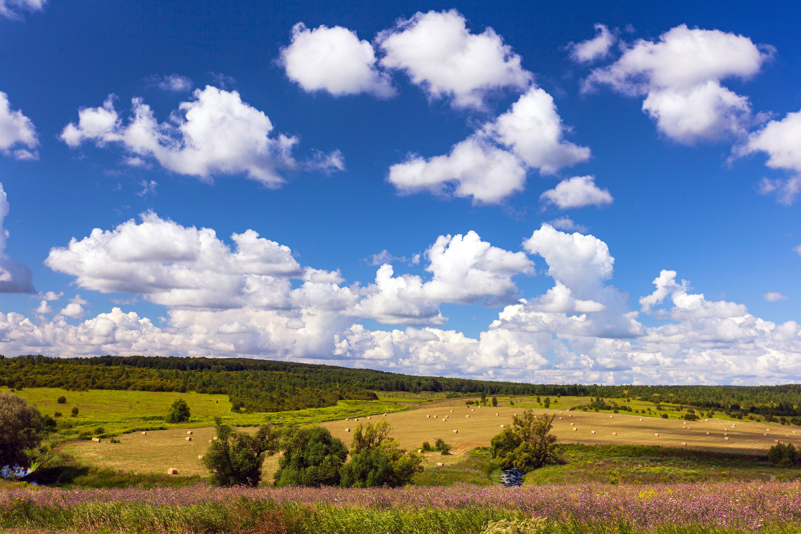 Природа. Фотохудожник Артём Парамонов
