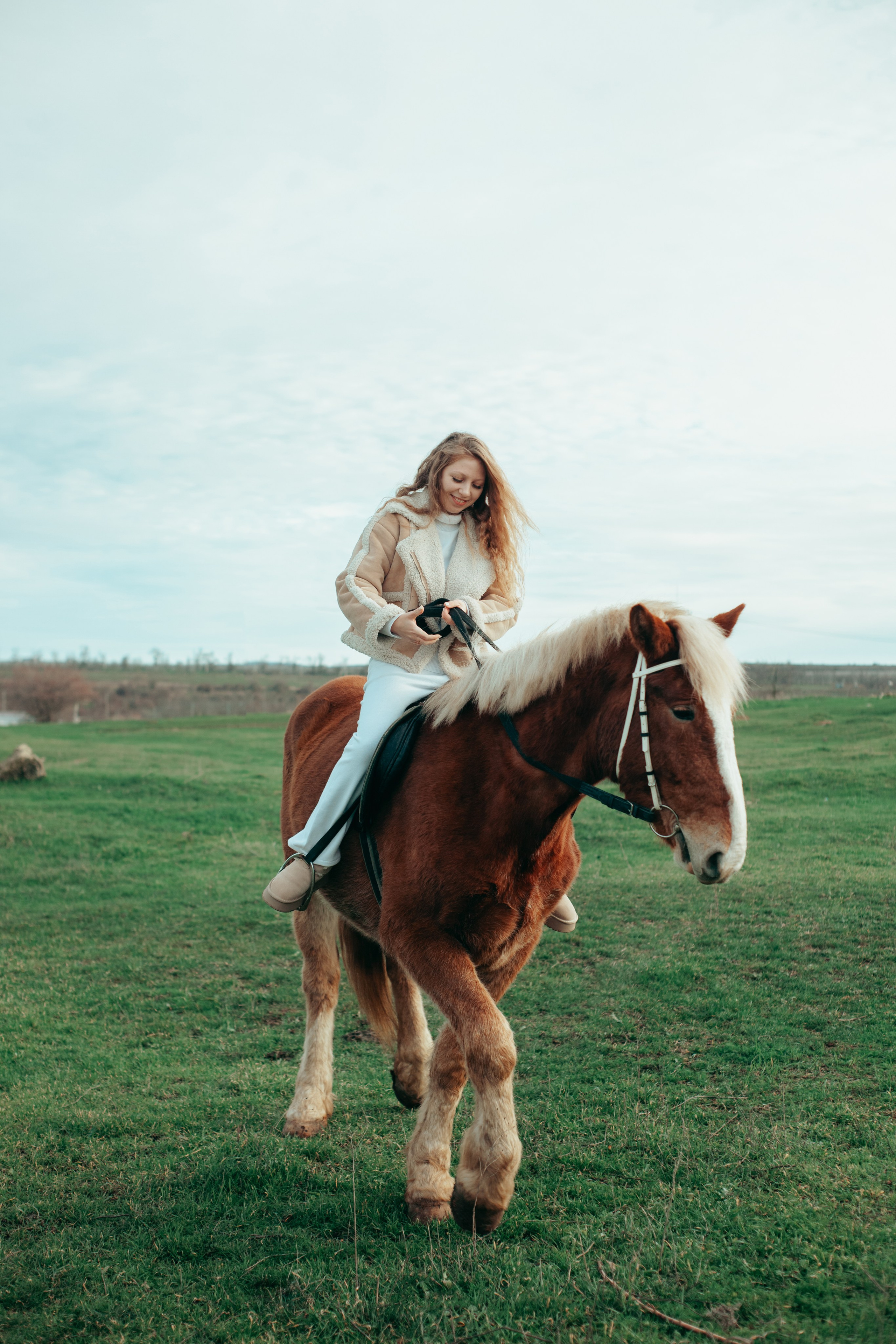 Лошадка. Фотограф Алёна Сергеевна Aloha_chë