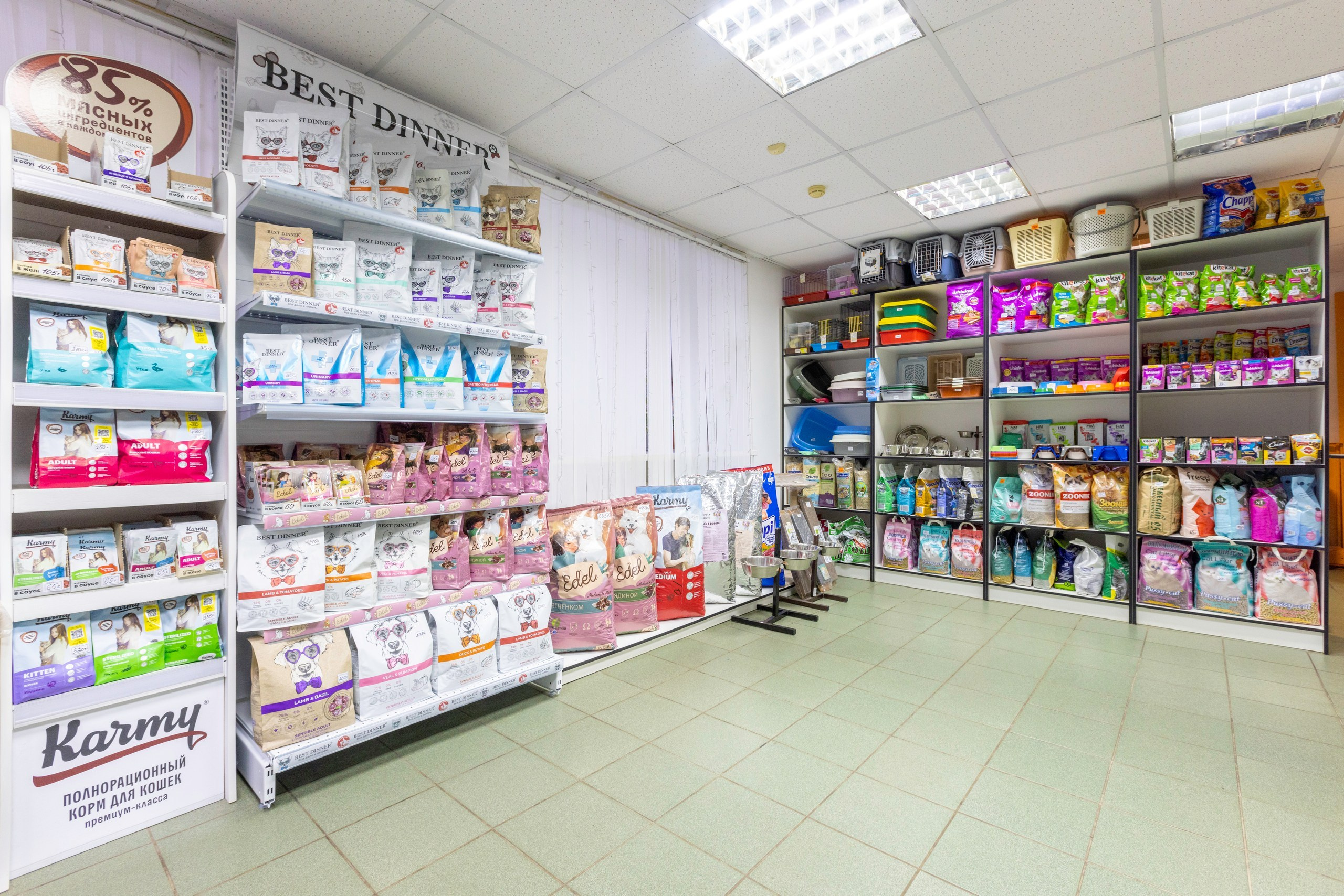 БАРОН. Ветеринарная клиника. Фотограф в Туле Крупский АнДРей. Фотостудия «КАДР71» в Туле