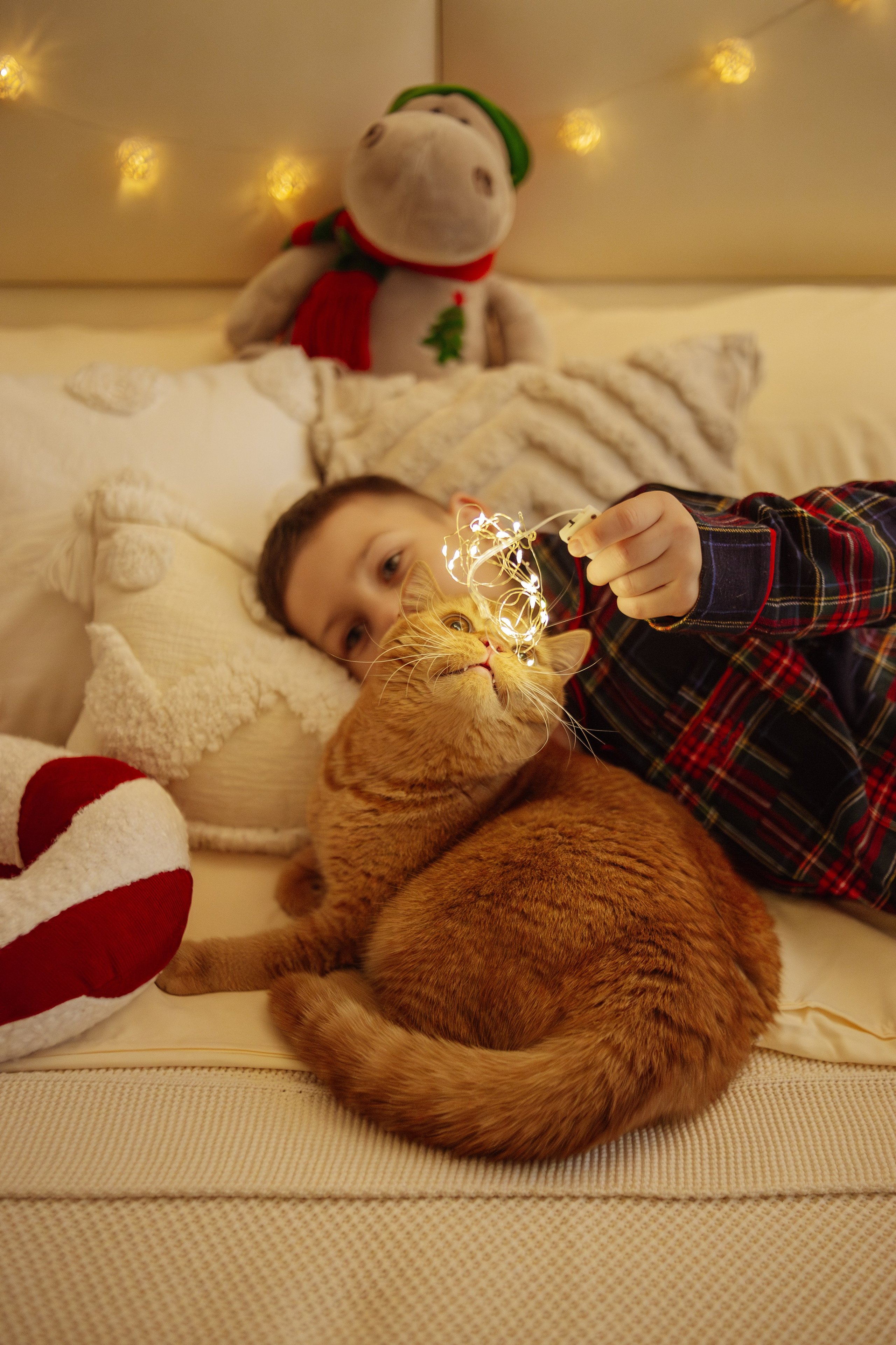 Домашняя. Фотограф Москва / Балашиха