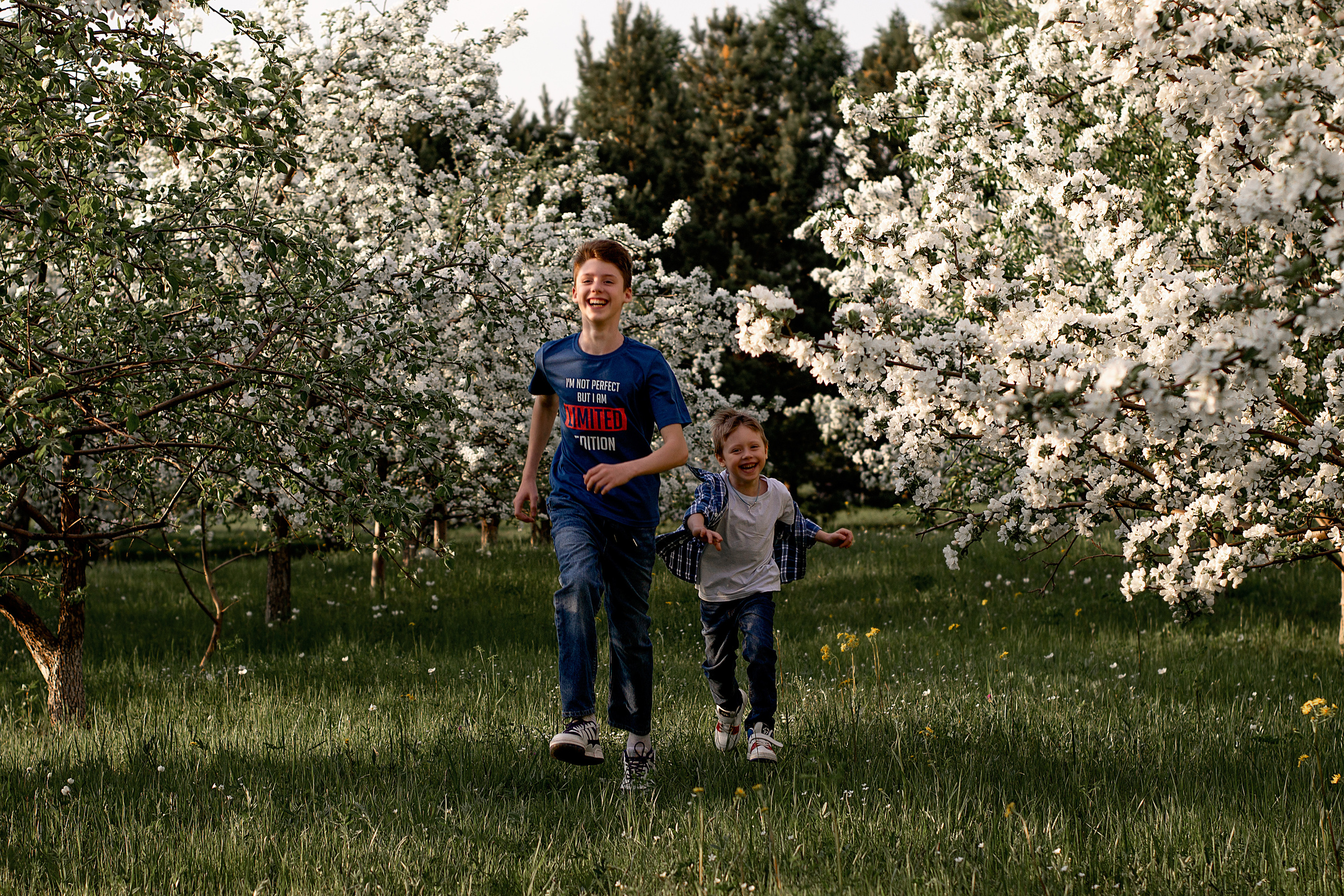Семейные ценности. Приподаева Алёна семейный и детский фотограф в Красноярске