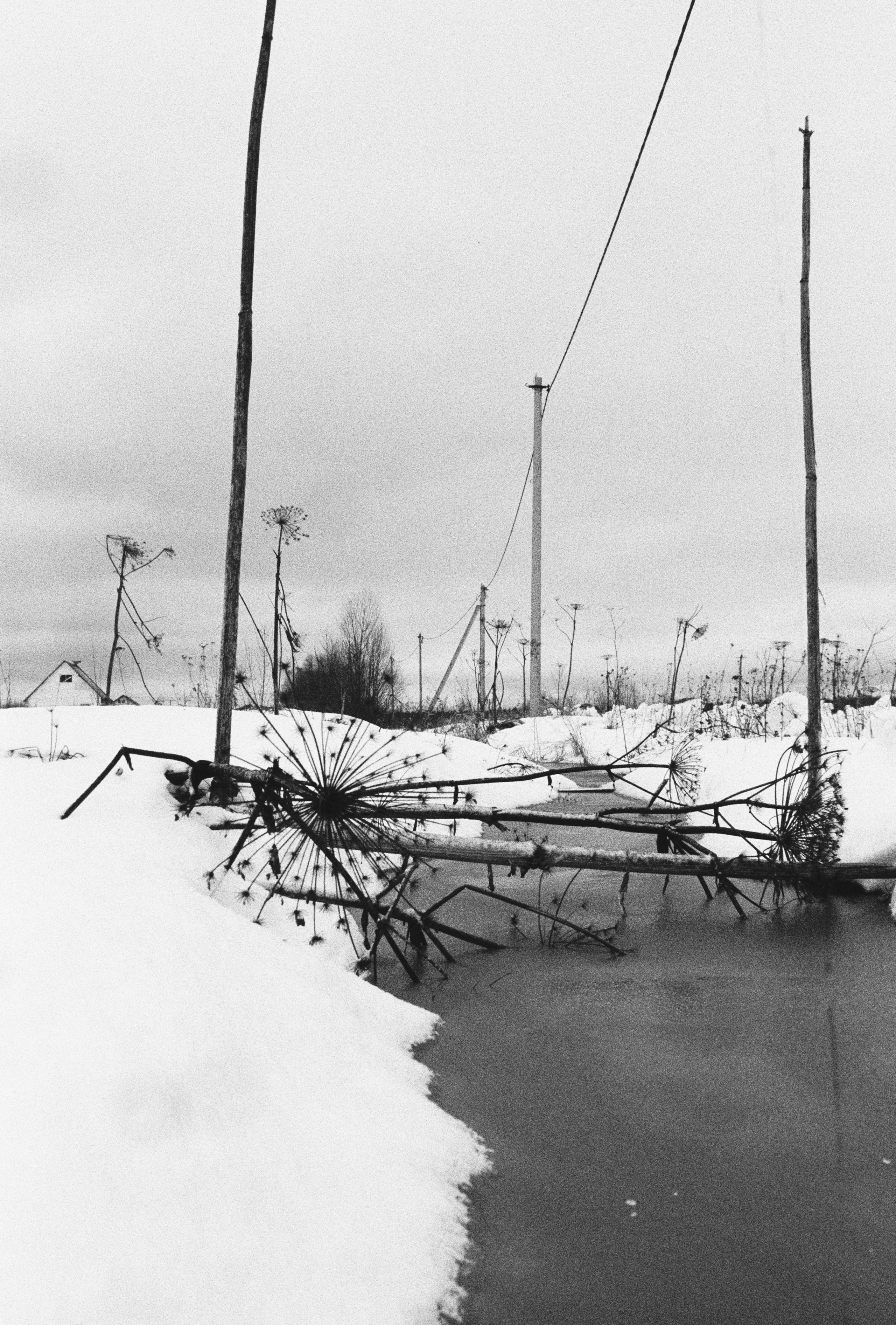 Film chronicle. Kosky ilya