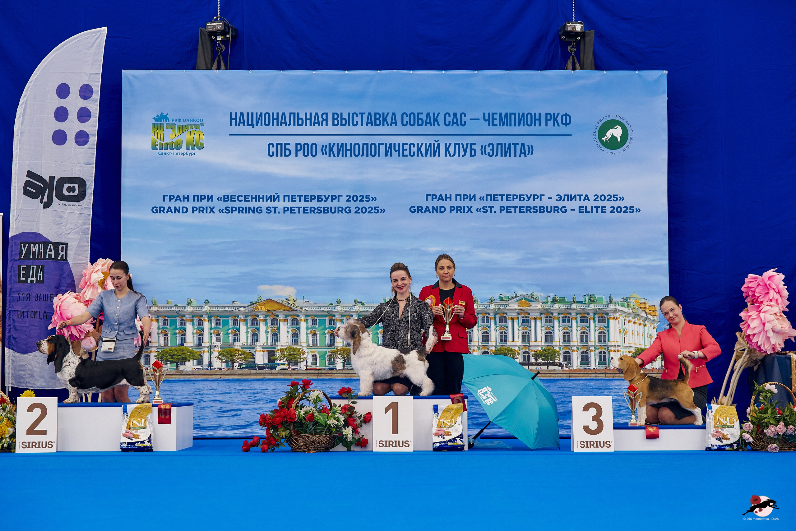 27.04.2025 | "Петербург-Элита 2025" & «КУБОК «ЭЛИТЫ»-2025»