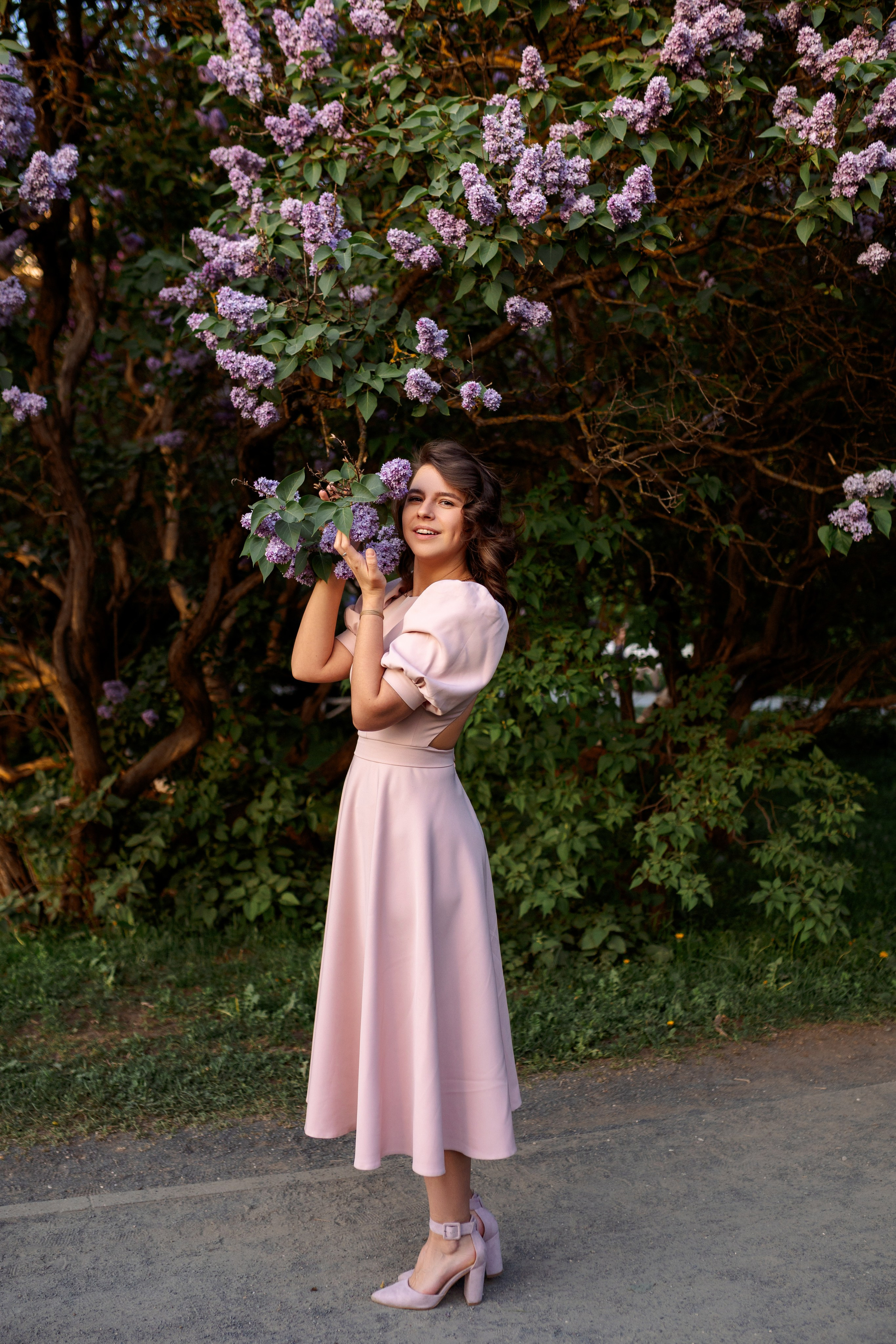 Цветение в сиреневом саду. Главная