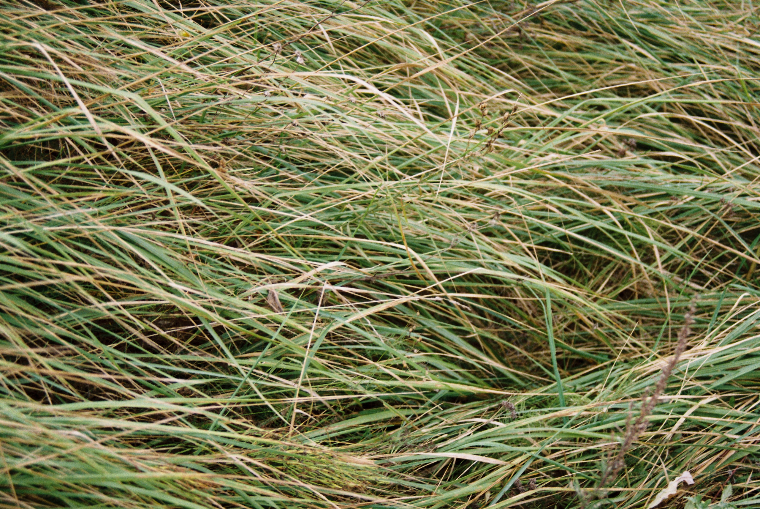 Путешествия. Anastasiia Kron