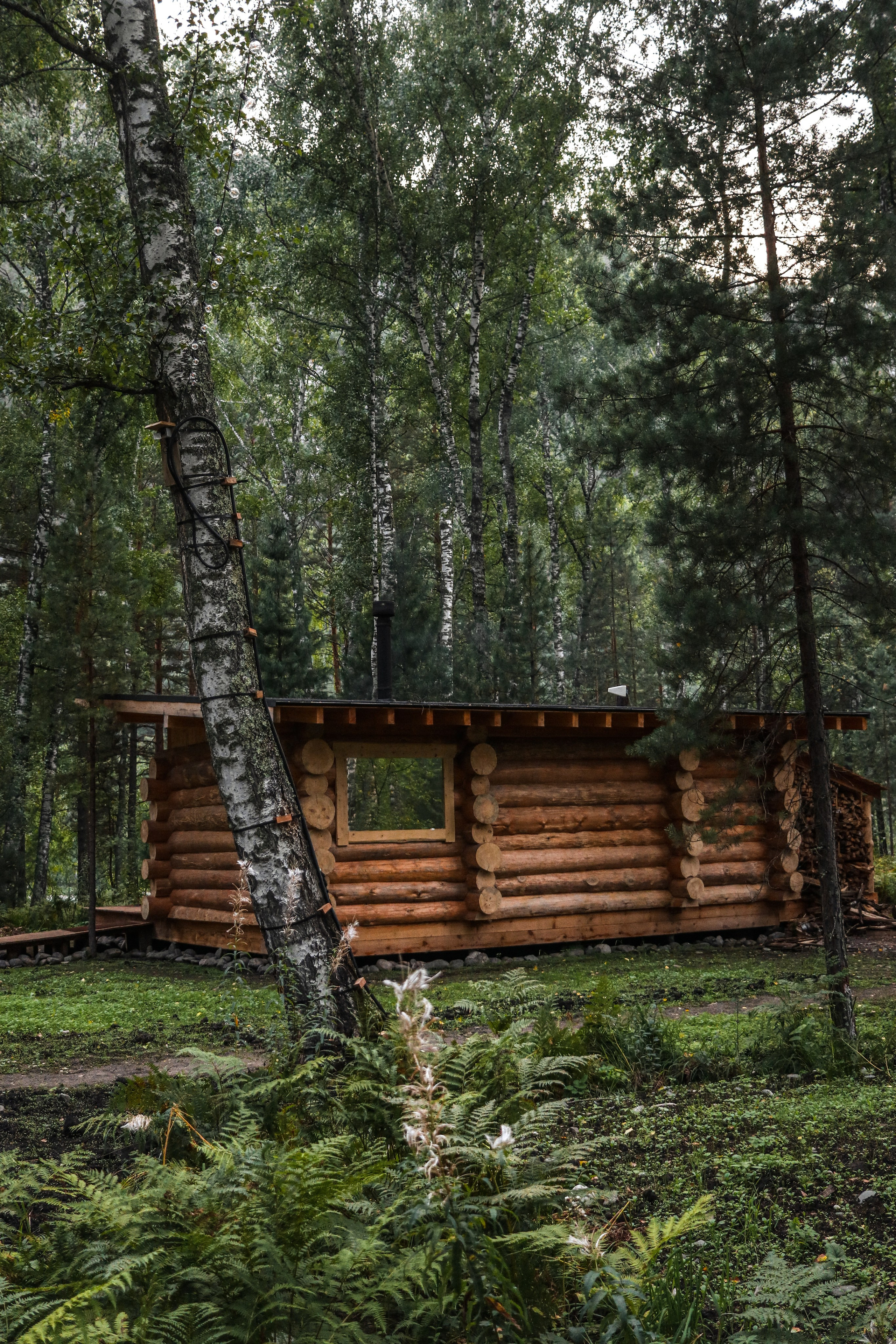 «Pinewood» банный комплекс, респ. Алтай. Контент фотограф Дмитрий Борисов