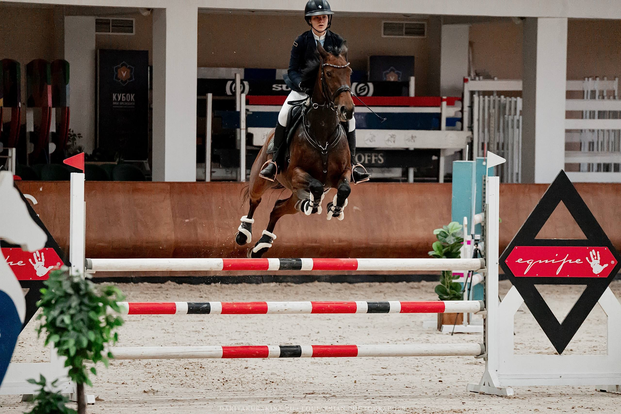 ЗИМНИЙ КУБОК ФЕДЕРАЦИИ КОННОГО СПОРТА ГОРОДА МОСКВЫ. Куракина Дарья • Конный фотограф