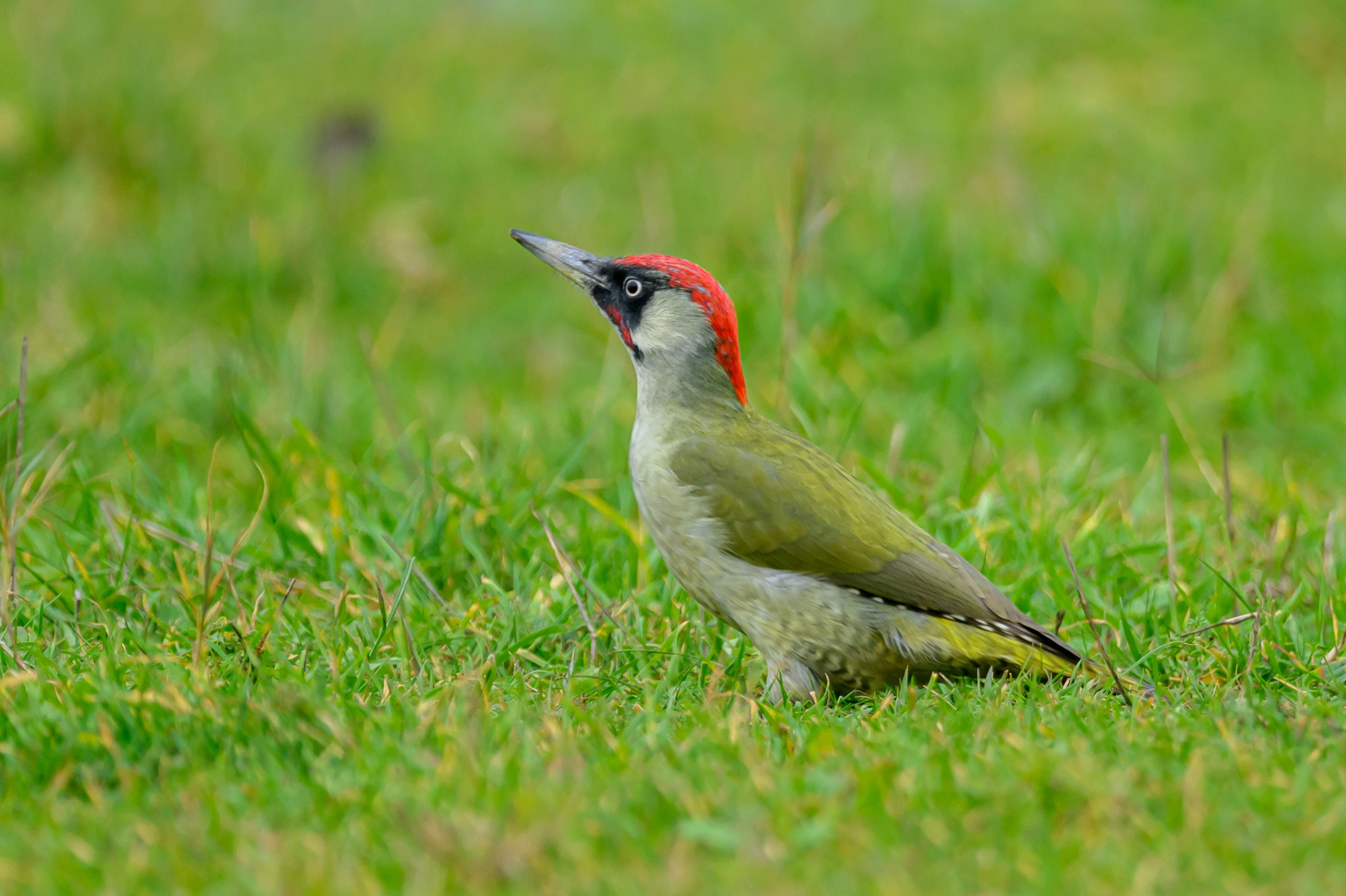 Дагестан. Ноябрь 2025. Фотограф Сергей Пупонин