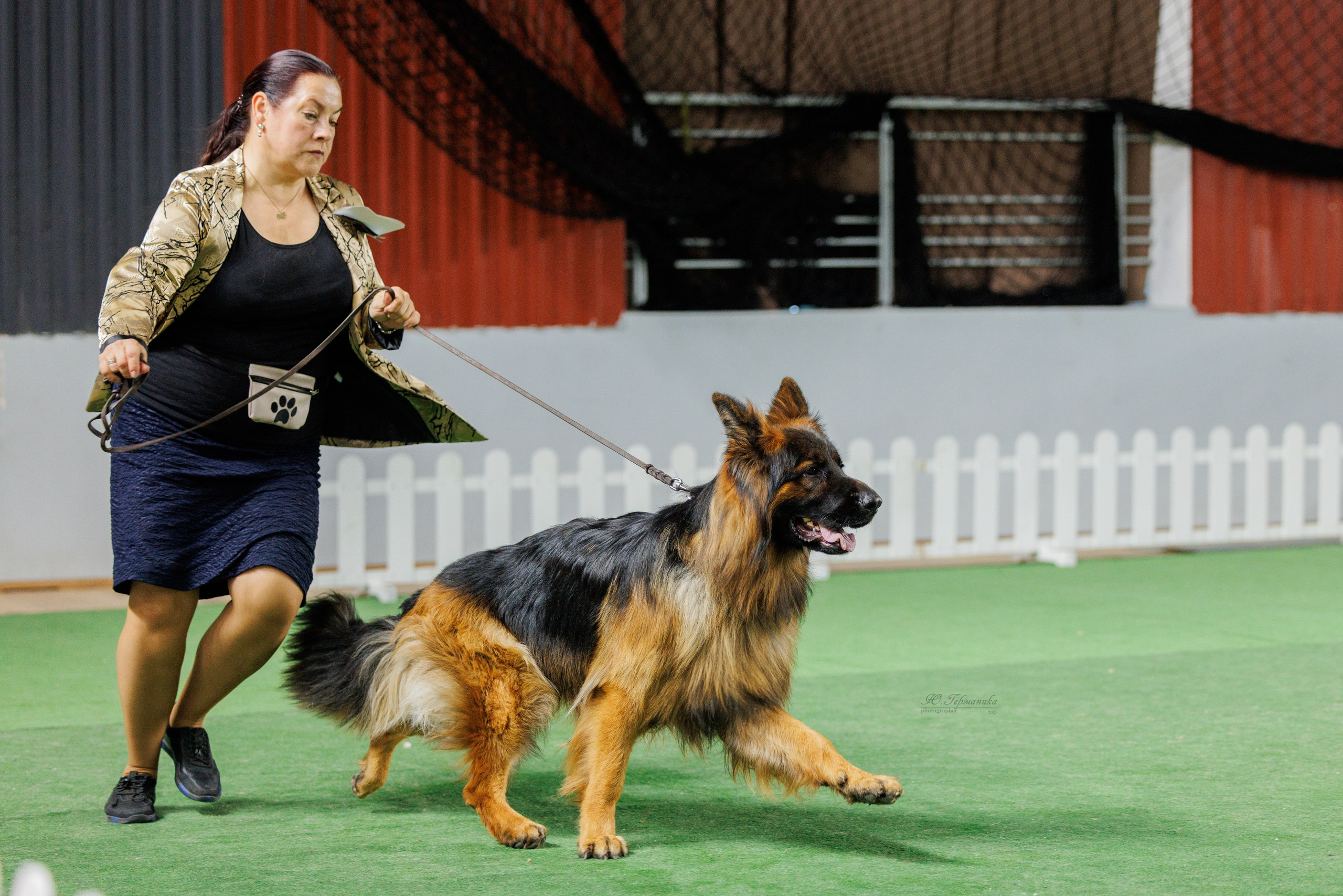 Телави 11-12.10.2025. Фотограф-анималист Юлия Германика