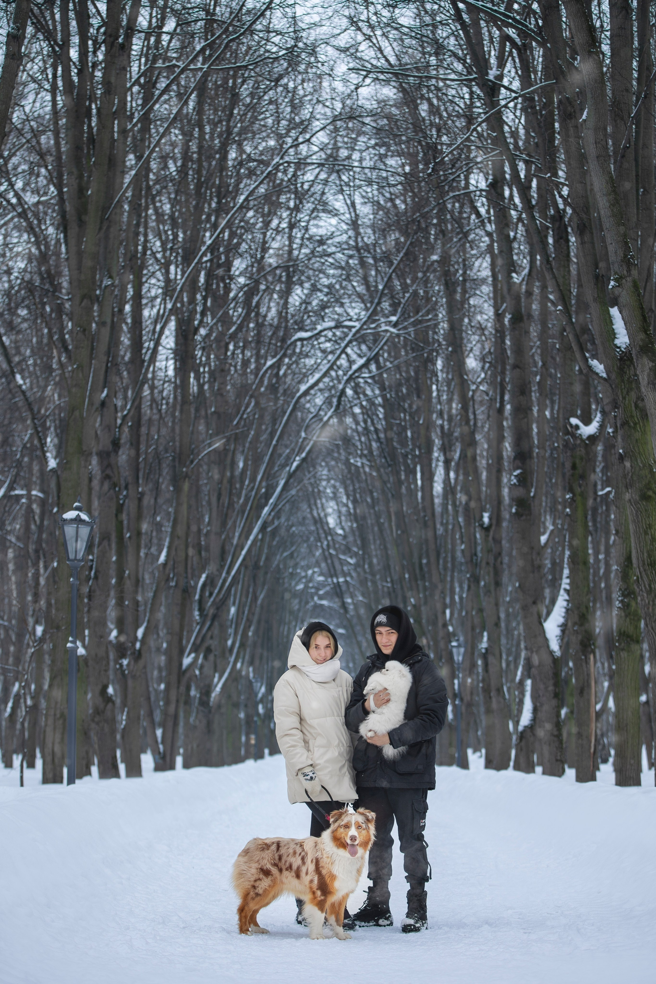 Настя, Игорь, Тесс и Марс. Фотограф анималист в Москве Майорова Евгения