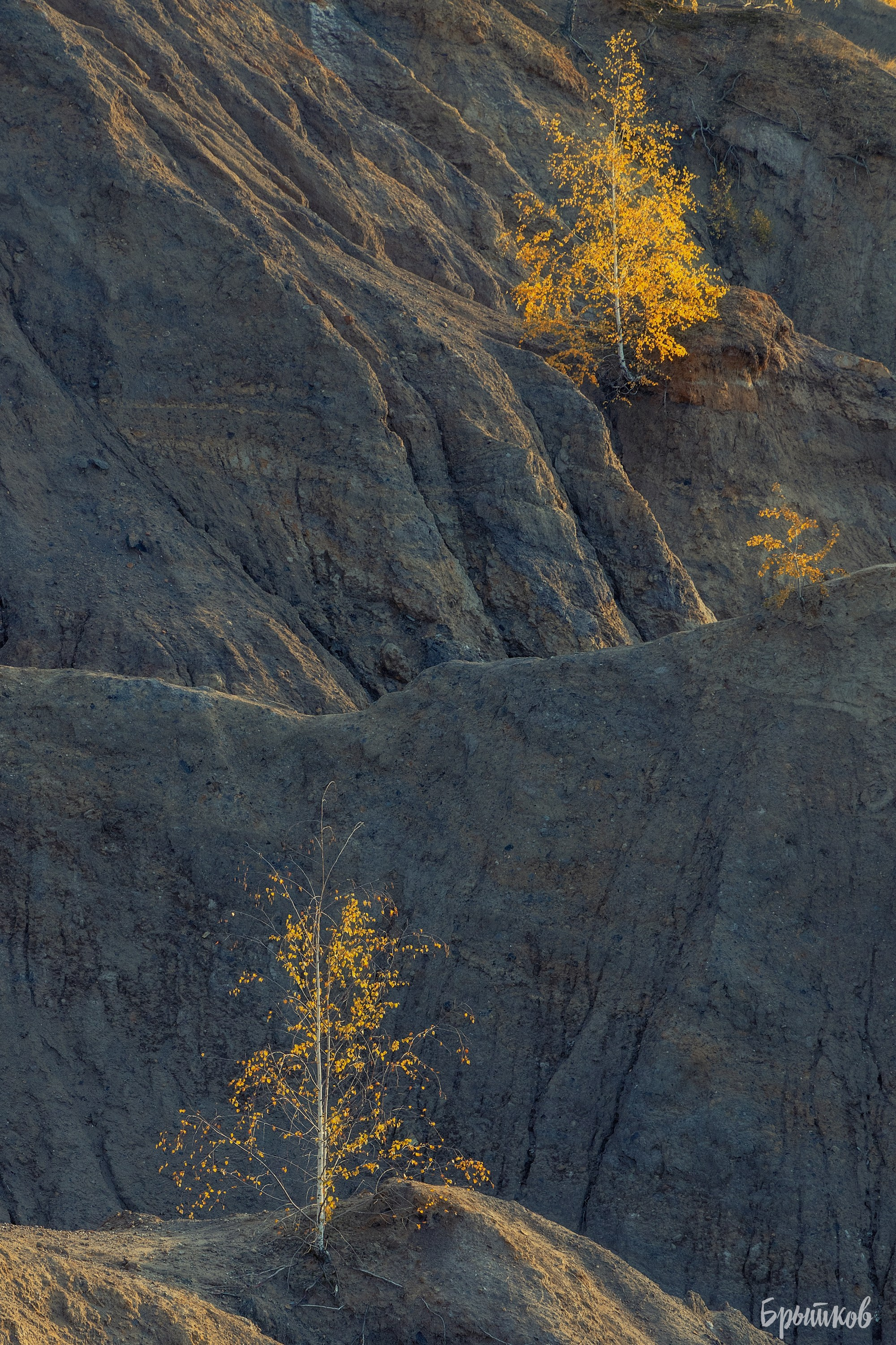 Кондуки. Николай Брытков — фотограф в Туле