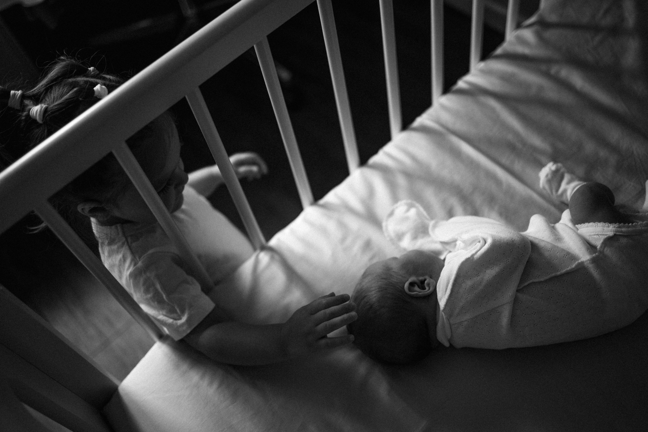 Домашние. Главная