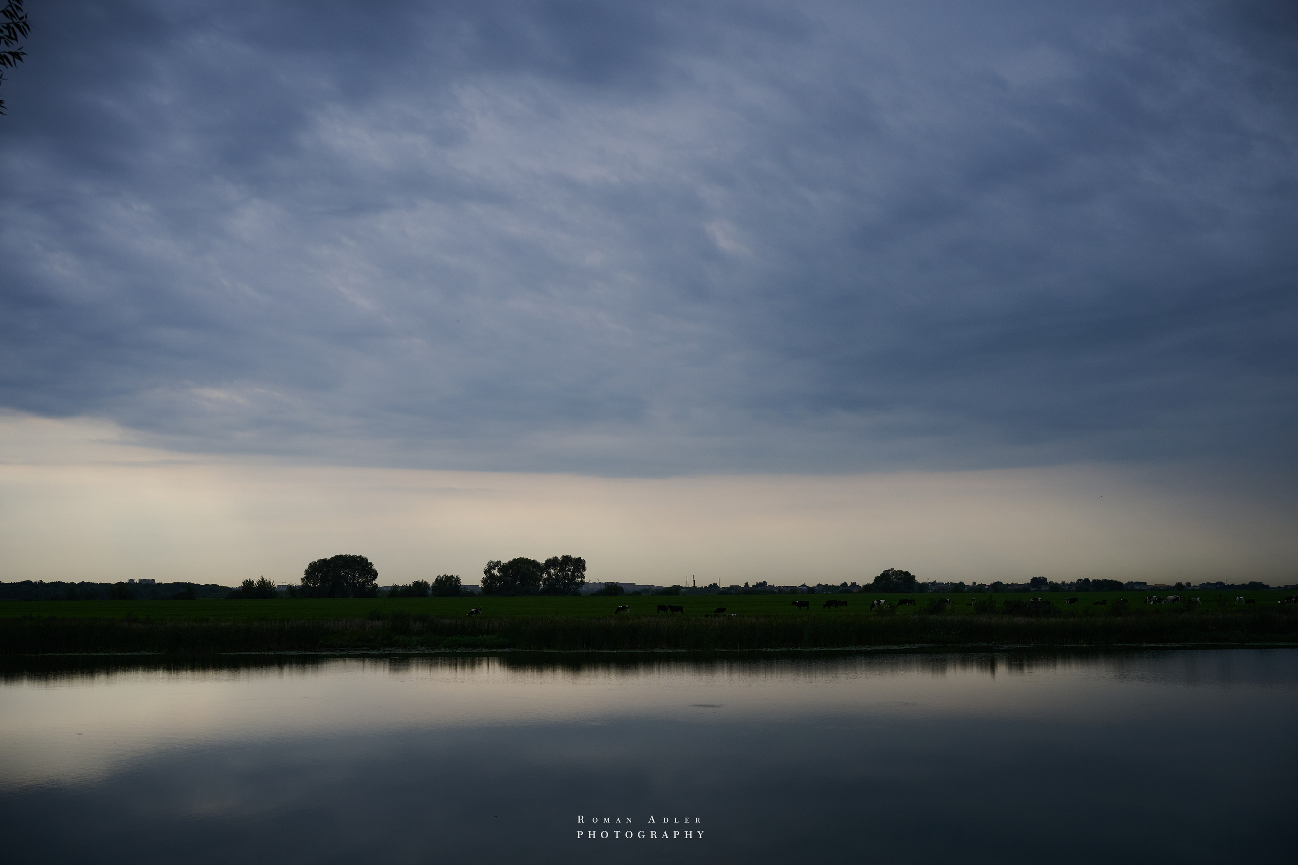 Рязань. Август 2025. Фотограф Роман Адлер