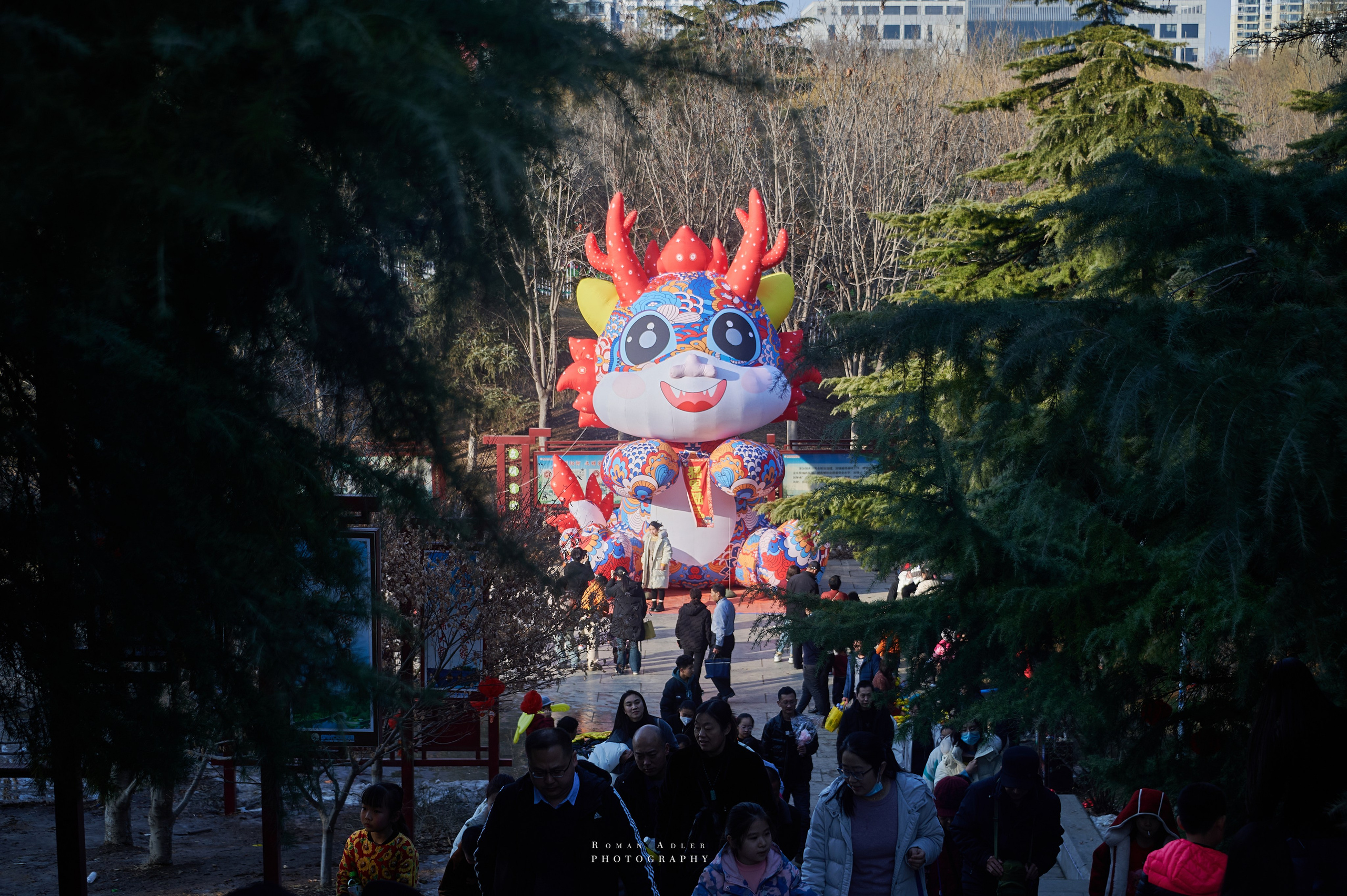 Серия посвящена прогулке в городском парке Цинчжоу, из авторского фотопроекта фотографа Романа Адлера Китай. Русский взгляд 2024.