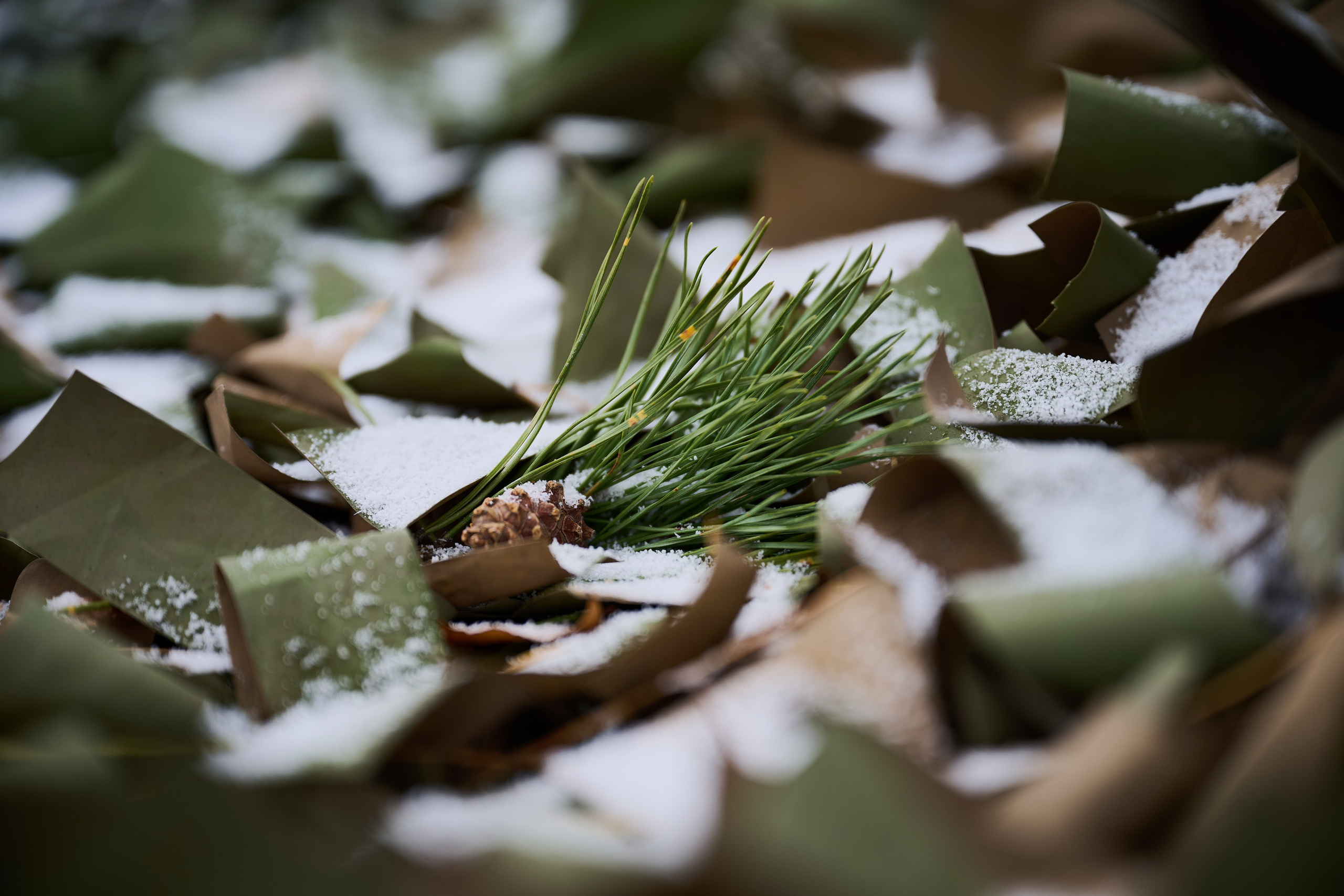 Северодонецк (Луганская область). Декабрь 2024. Фотограф Роман Адлер