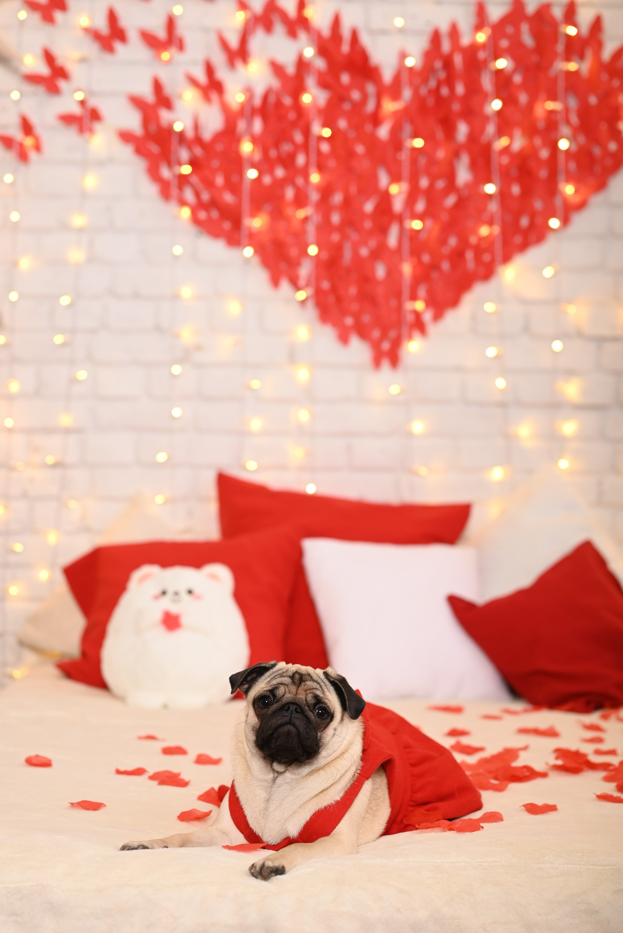 С Бонитой. Фотостудия Зефир. Фотосессии в студии под ключ. Москва. Семейные и детские фотосессии