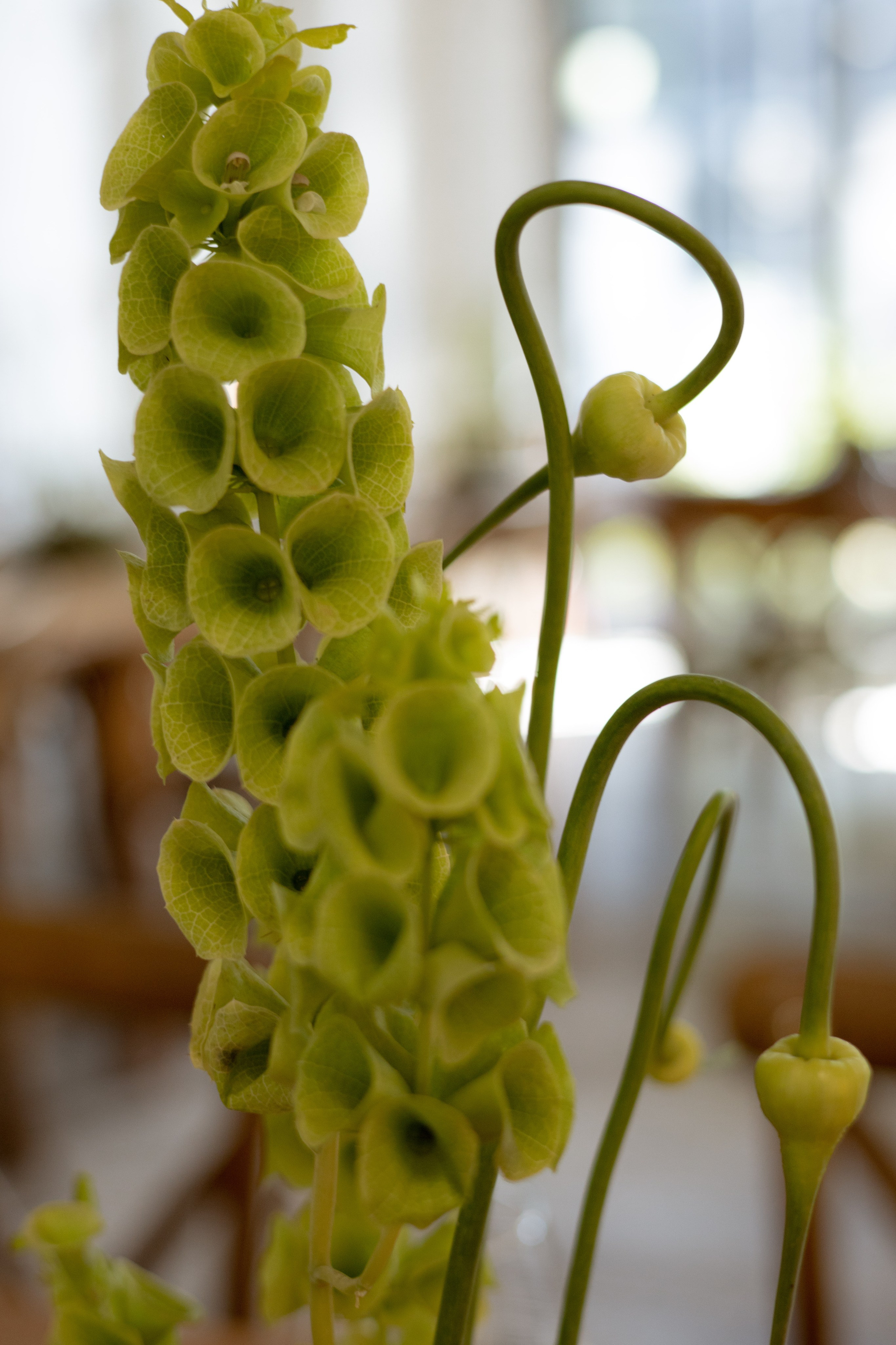 Никита & Катя. Оформление свадеб, декор свадеб Вера Маркова, Москва