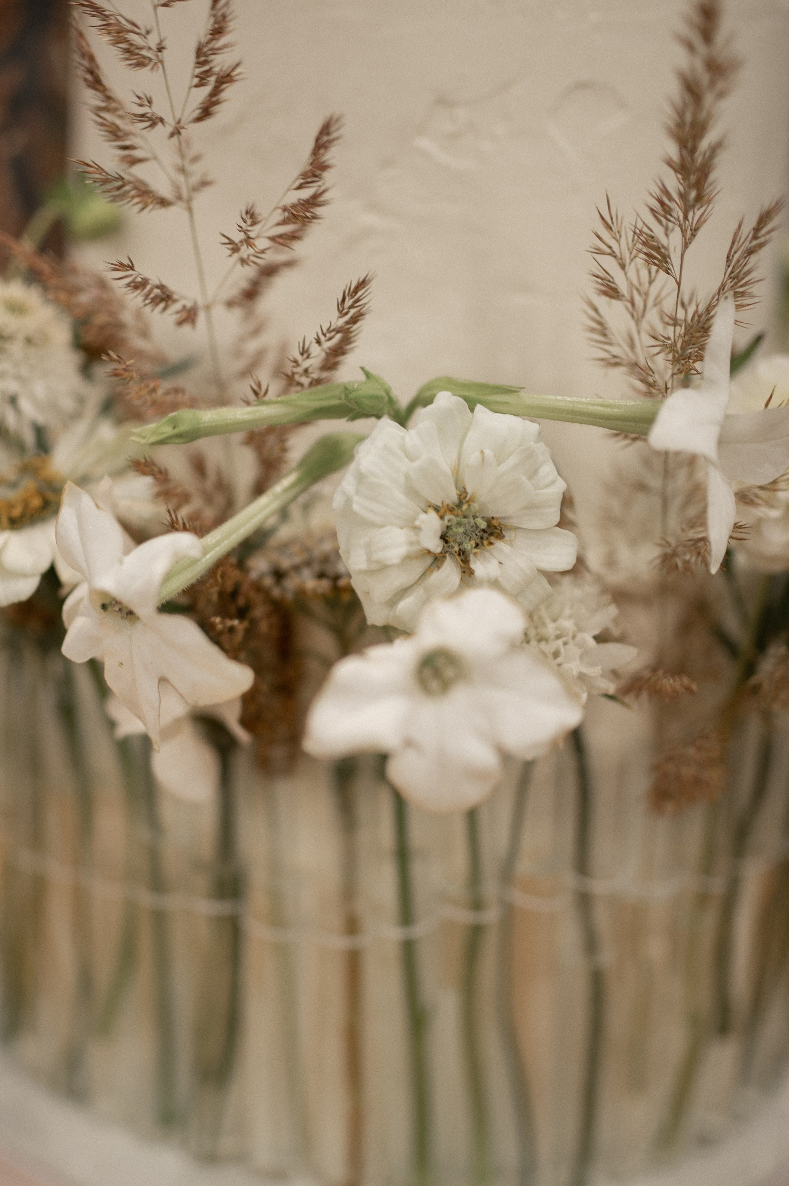 Коля & Вика. Оформление свадеб, декор свадеб Вера Маркова, Москва