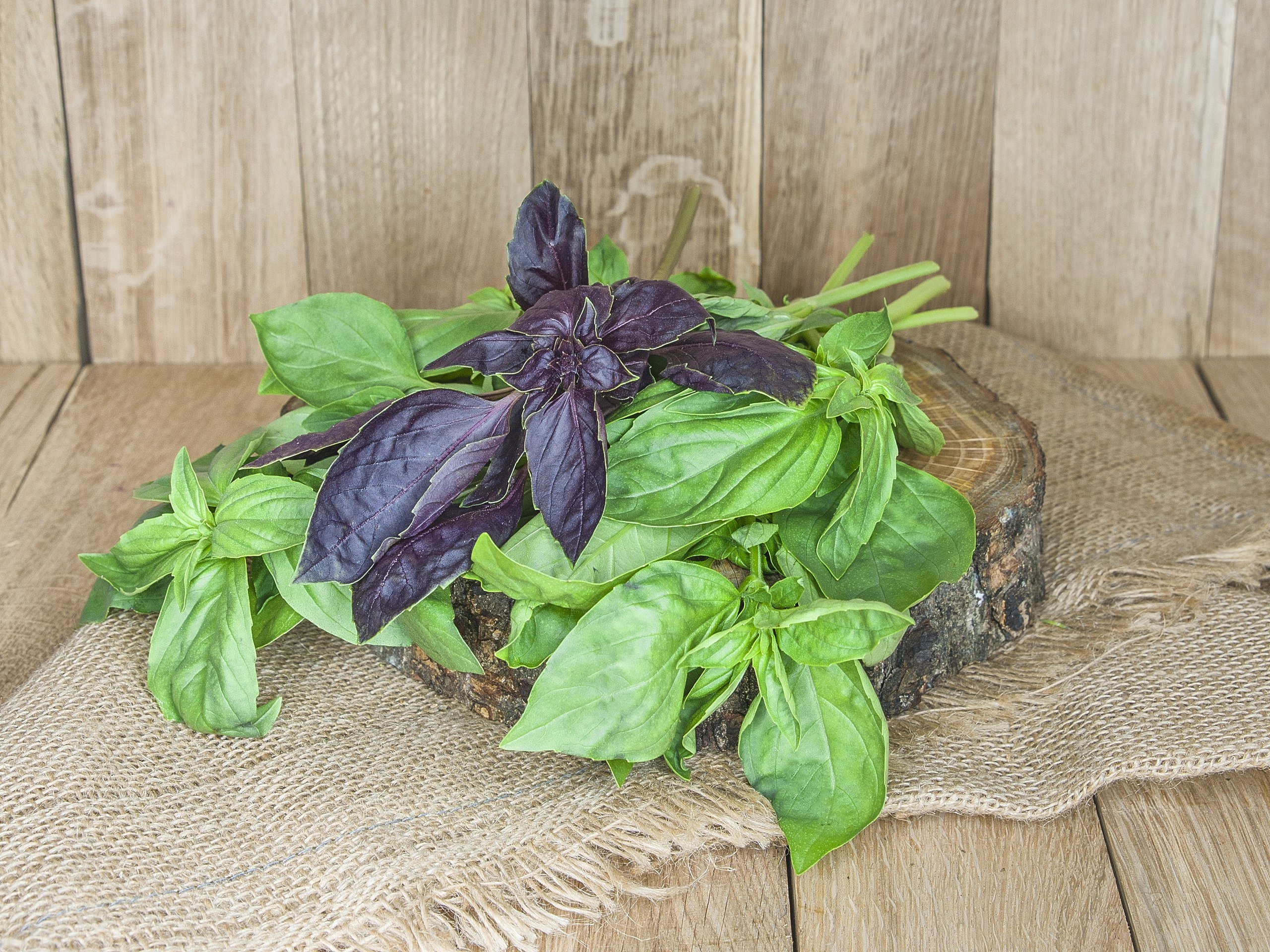 Серии. Предметный и семейный фотограф в Санкт-Петербурге Катерина Стеклова