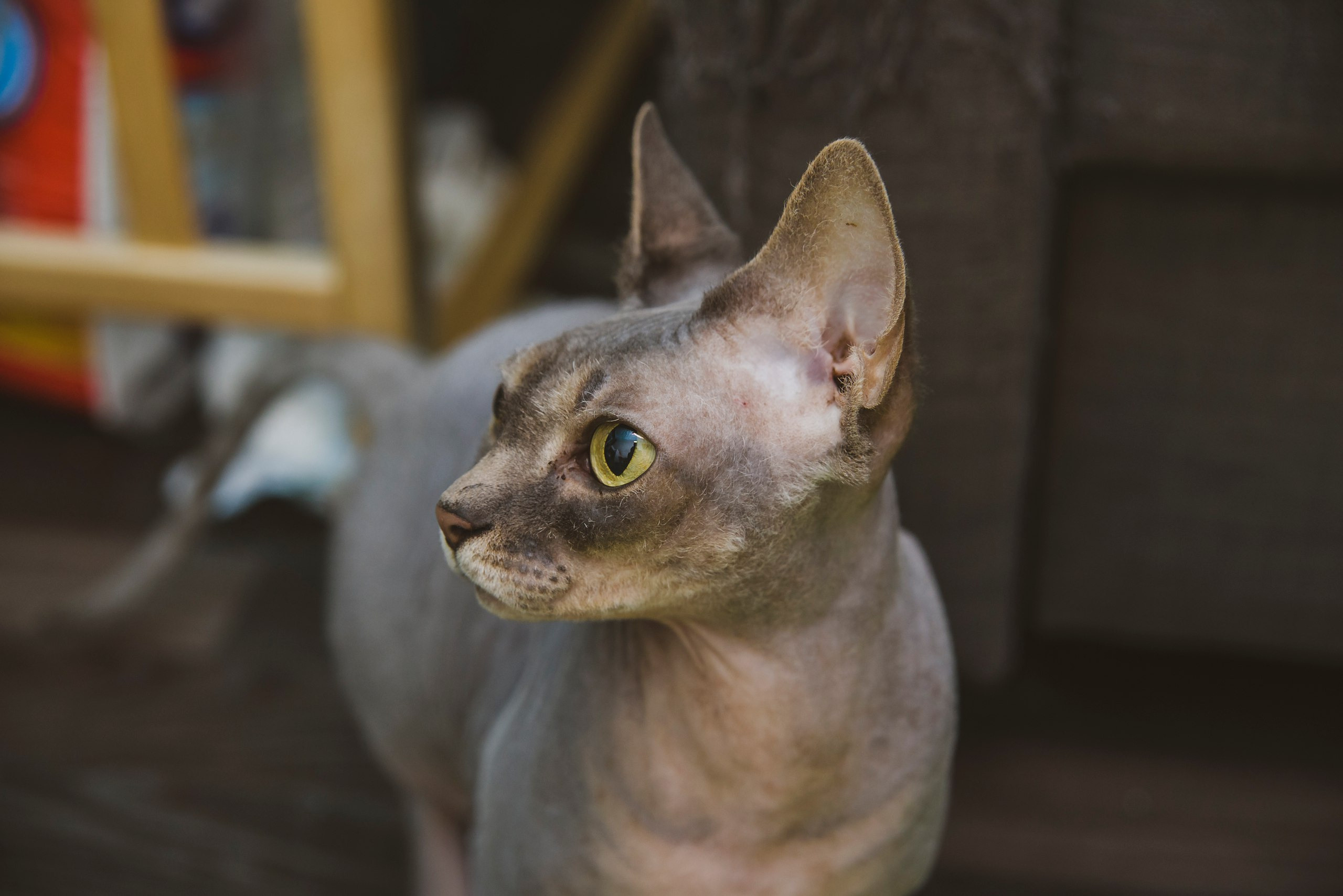 Серии. Предметный и семейный фотограф в Санкт-Петербурге Катерина Стеклова