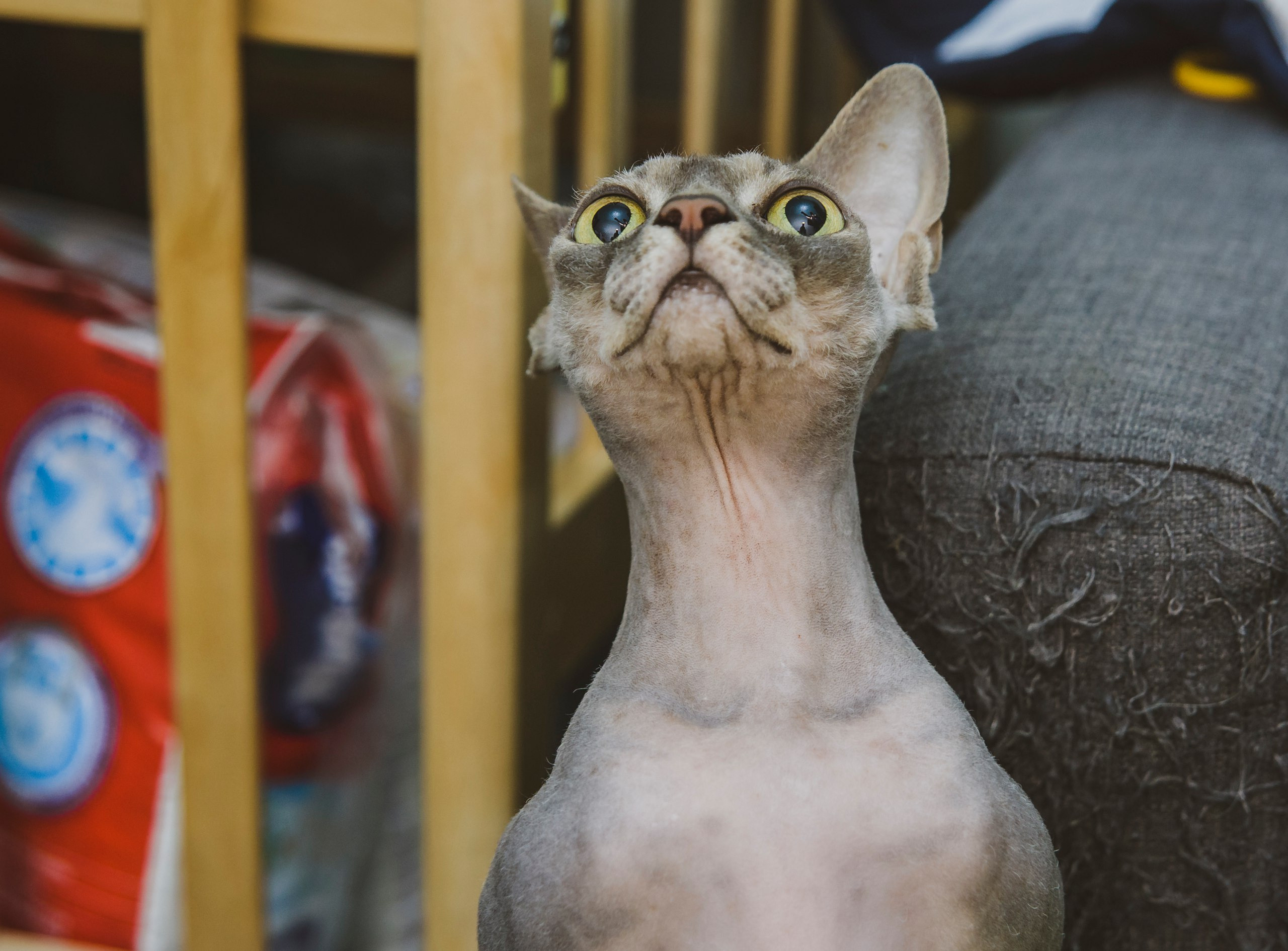 Серии. Предметный и семейный фотограф в Санкт-Петербурге Катерина Стеклова
