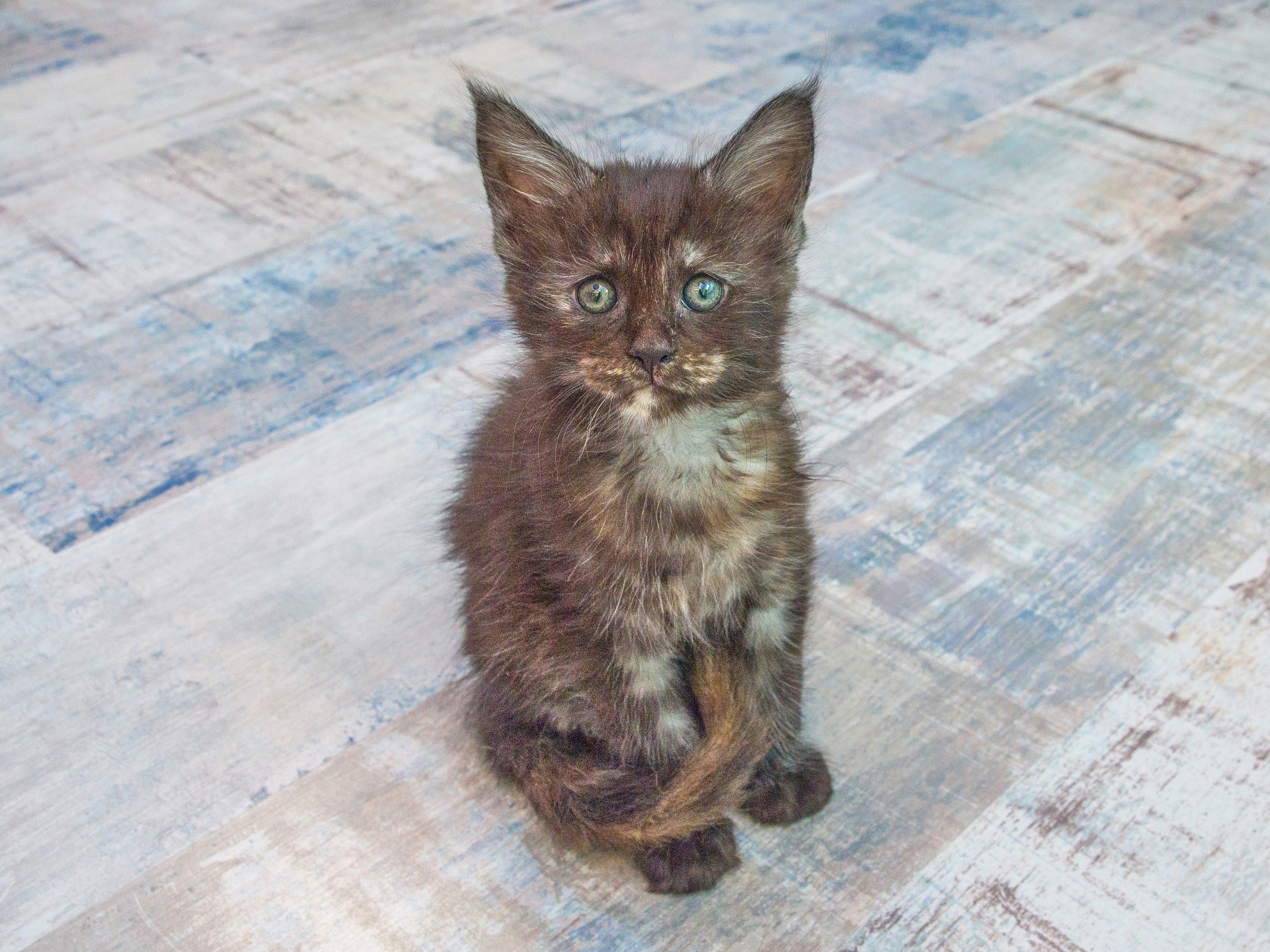 Серии. Предметный и семейный фотограф в Санкт-Петербурге Катерина Стеклова