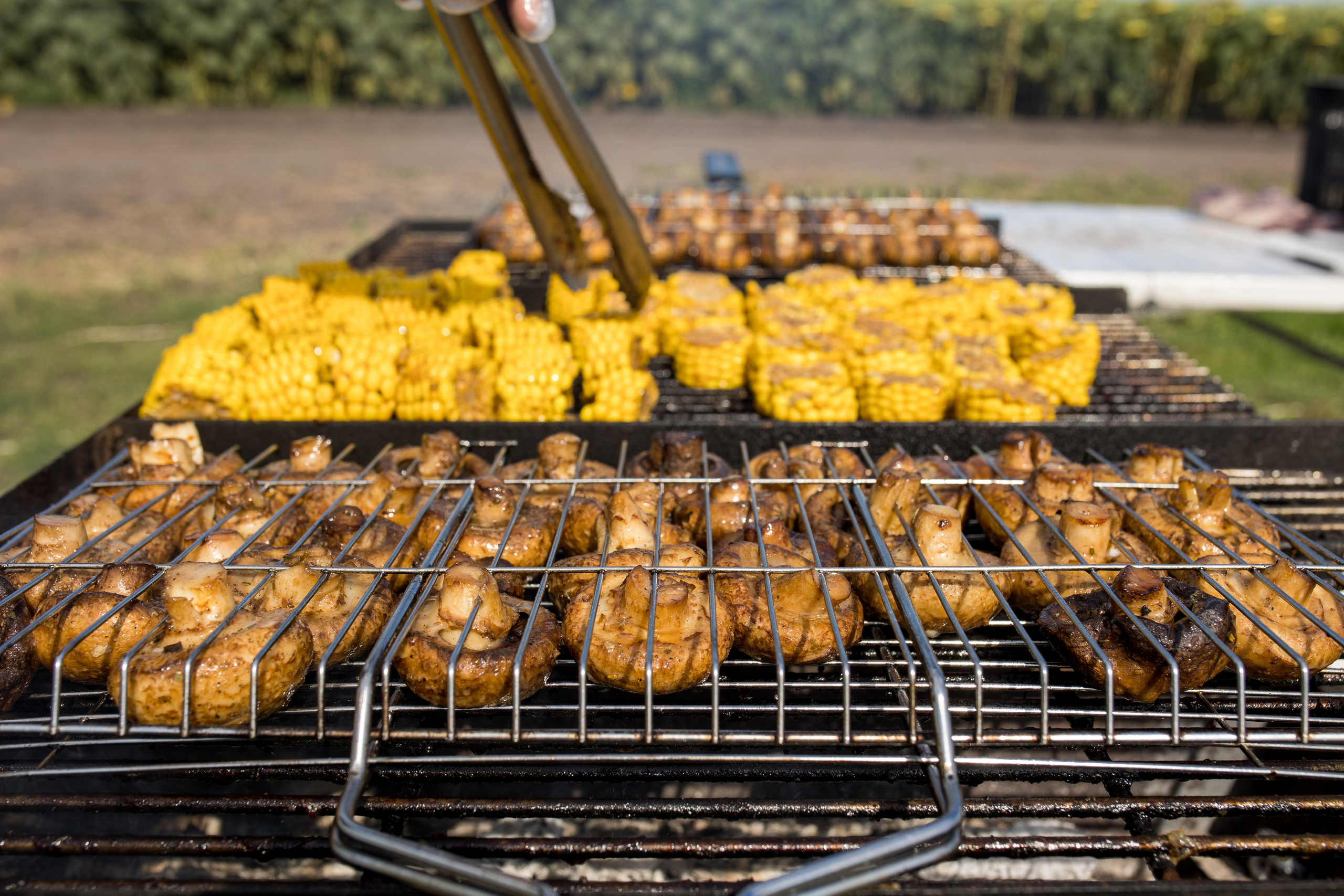 Решения для сельского хозяйства BASF 16.08.2022. Владислав Волков | Фотография и видеосъемка в Воронеже