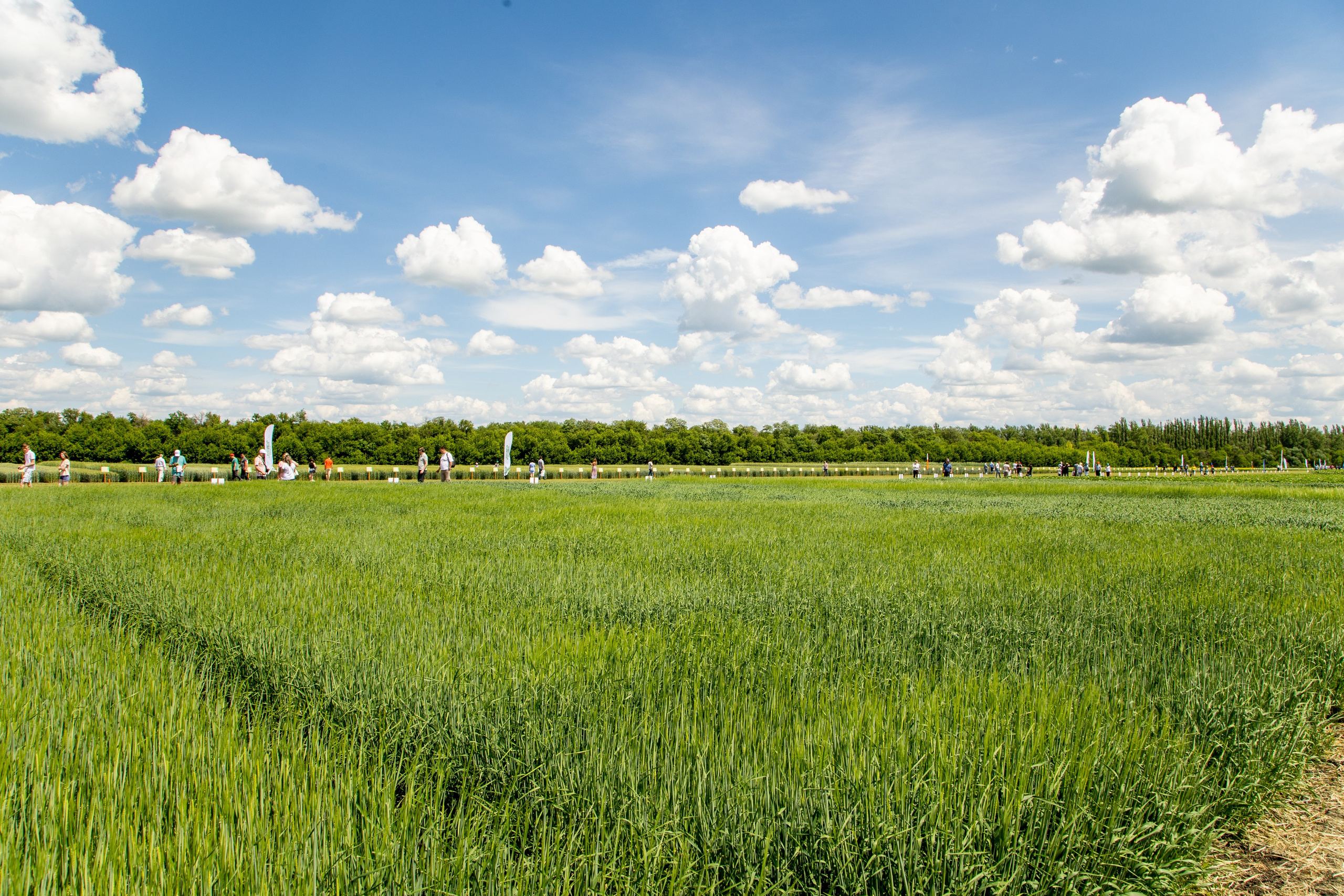 День Поля 2022. Владислав Волков | Фотография и видеосъемка в Воронеже