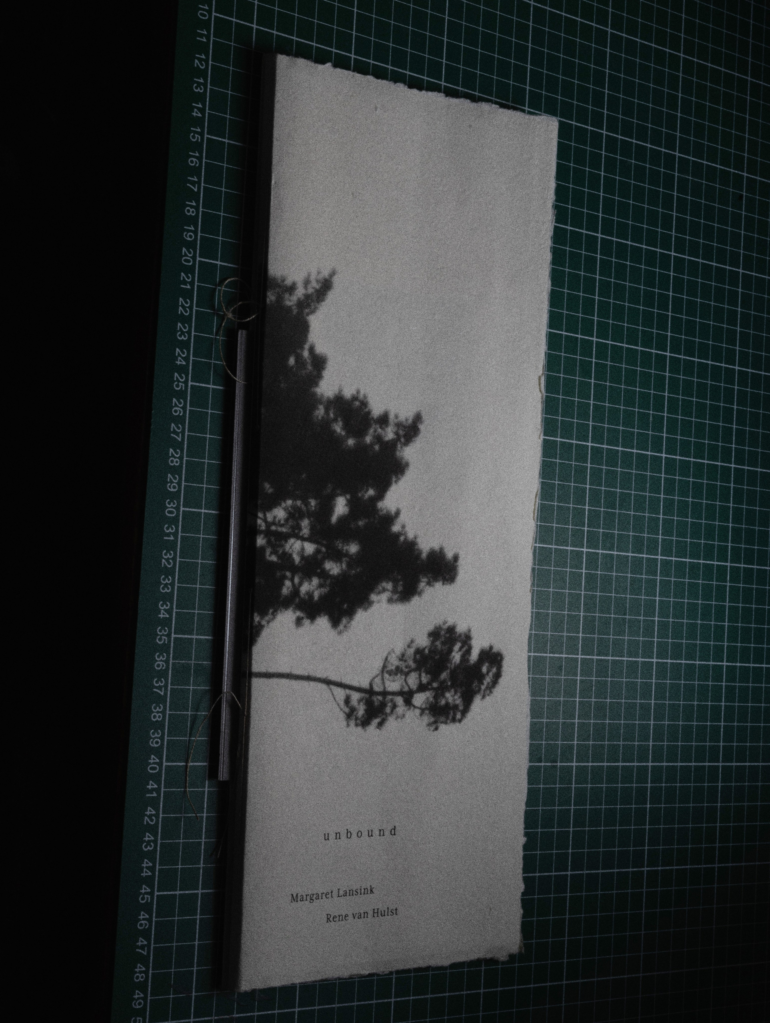 Фотокнижная библиотека Светы Кавериной. Фотограф и исследователь фотографии из Санкт-Петербурга Елизавета Веприцкая