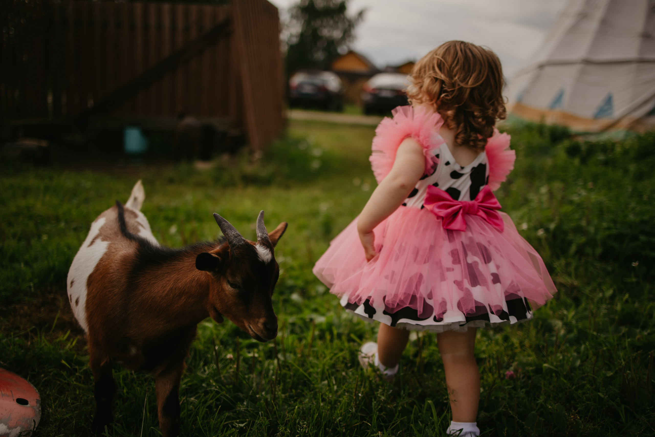 Лера 2 годика. Репортажный и портретный фотограф в Санктпетербурге. Видиосъемка мероприятий в Санкт-Петербурге