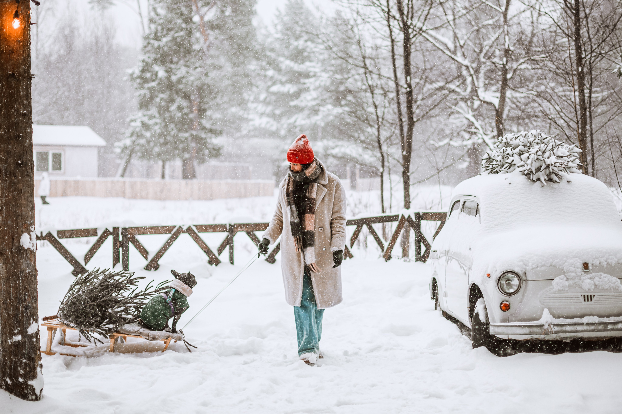 Кантри Хаус. Фотограф-анималист Татьяна Степанова