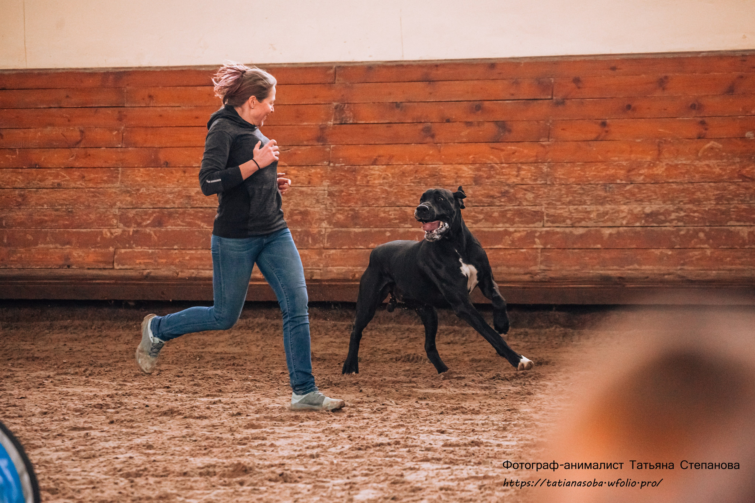 Соревнования по Аджилити 25.02.2024. Фотограф-анималист Татьяна Степанова