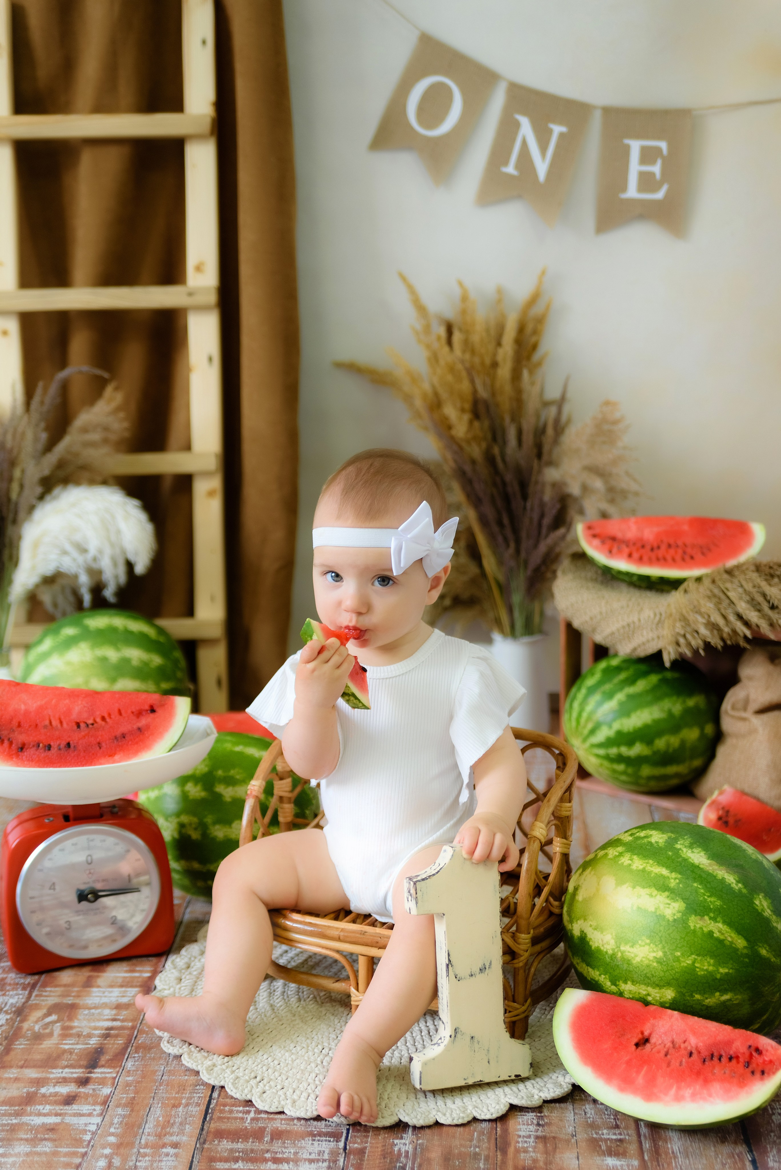 Фотопроект «Арбузики» Дарина. Детский Фотограф |Фотограф на годик в Брянске Ирина Романова