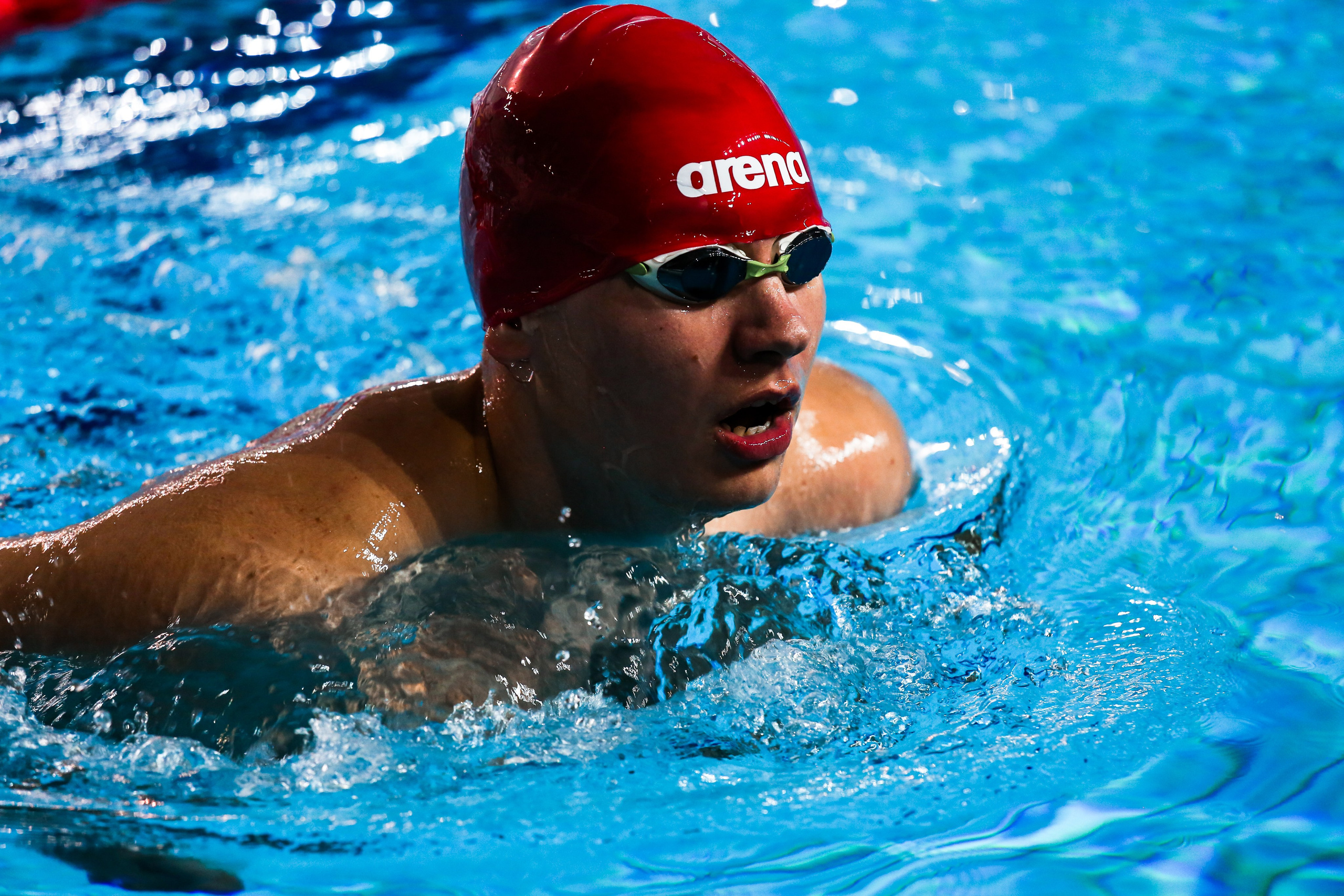 Соревнования по плаванию. Репортажный, семейный, свадебный, портретный фотограф