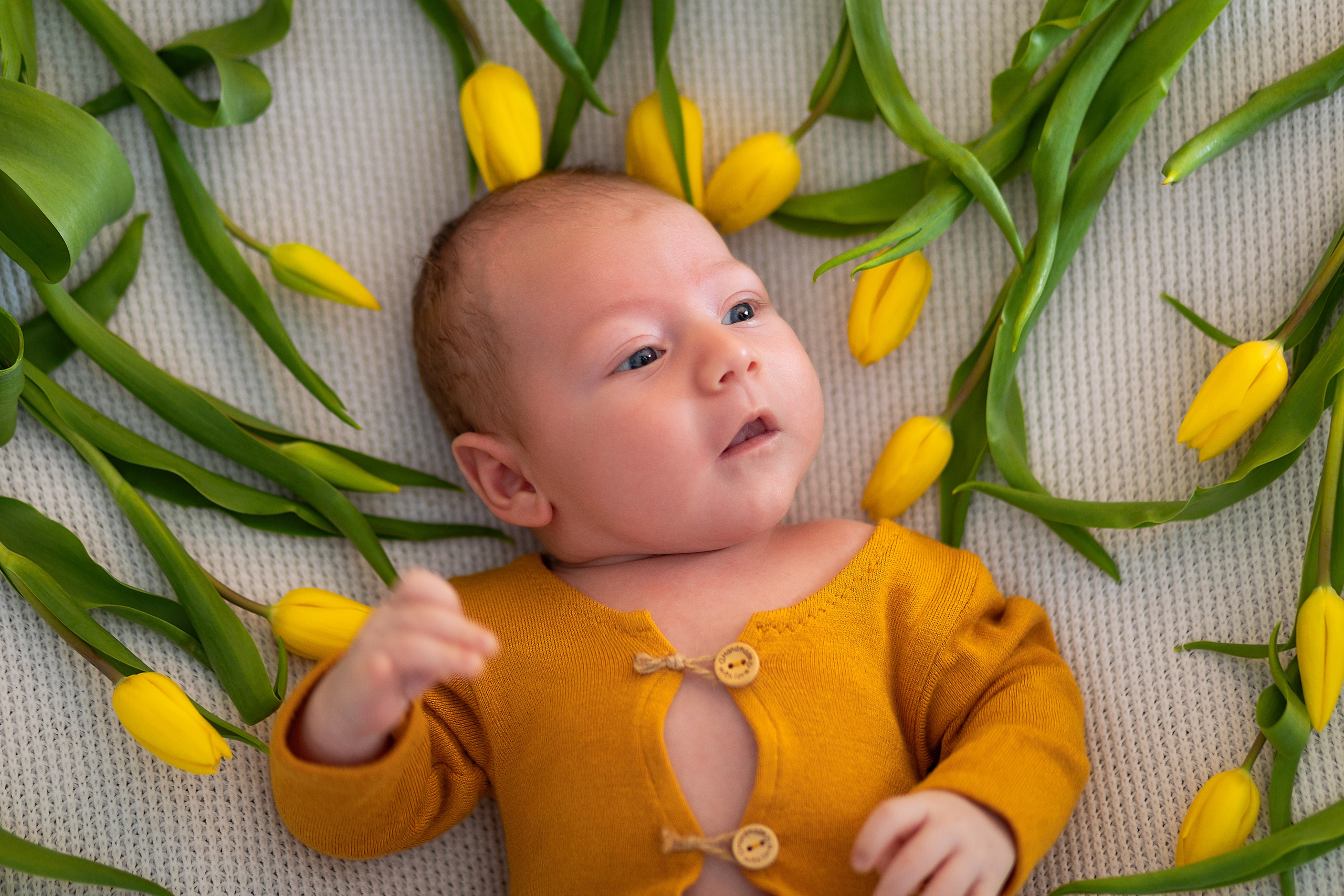 Весенний фотопроект с тюльпанами и мимозой. ФОТОГРАФ НА ГОДИК, БЕРЕМЕННОСТИ, НОВОРОЖДЕННЫХ, КРЕЩЕНИЯ МОСКВА