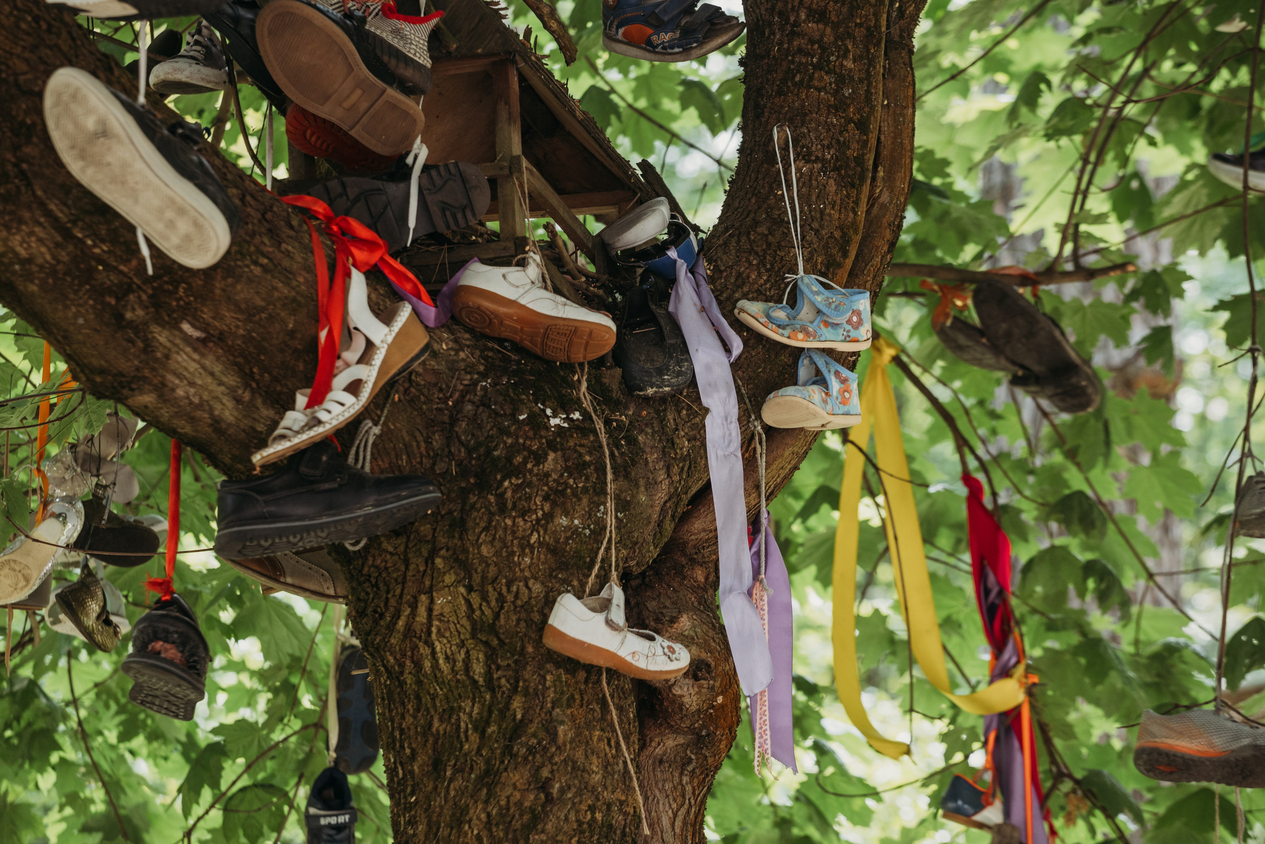 Родные люди «Переделкино». Леся Гаранина. Семейный фотограф/видеограф Москва и область