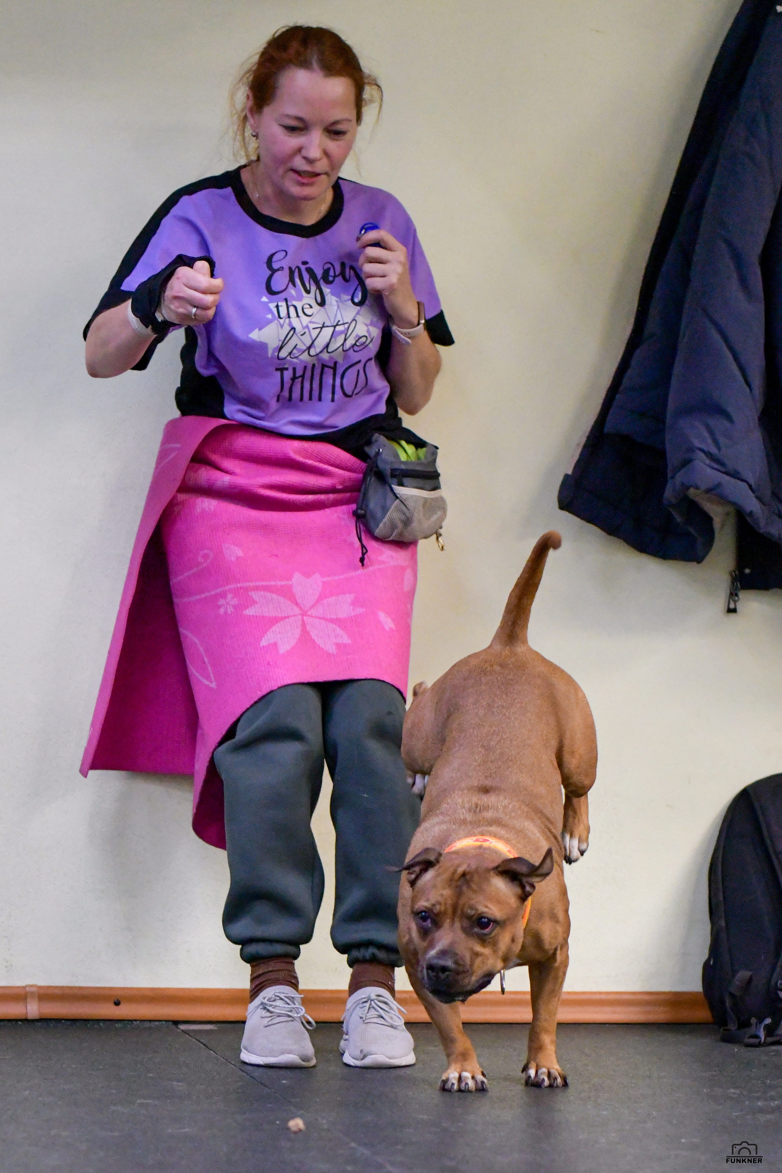 Кинологический клуб «Бодрый хвост». Свой взгляд через объектив