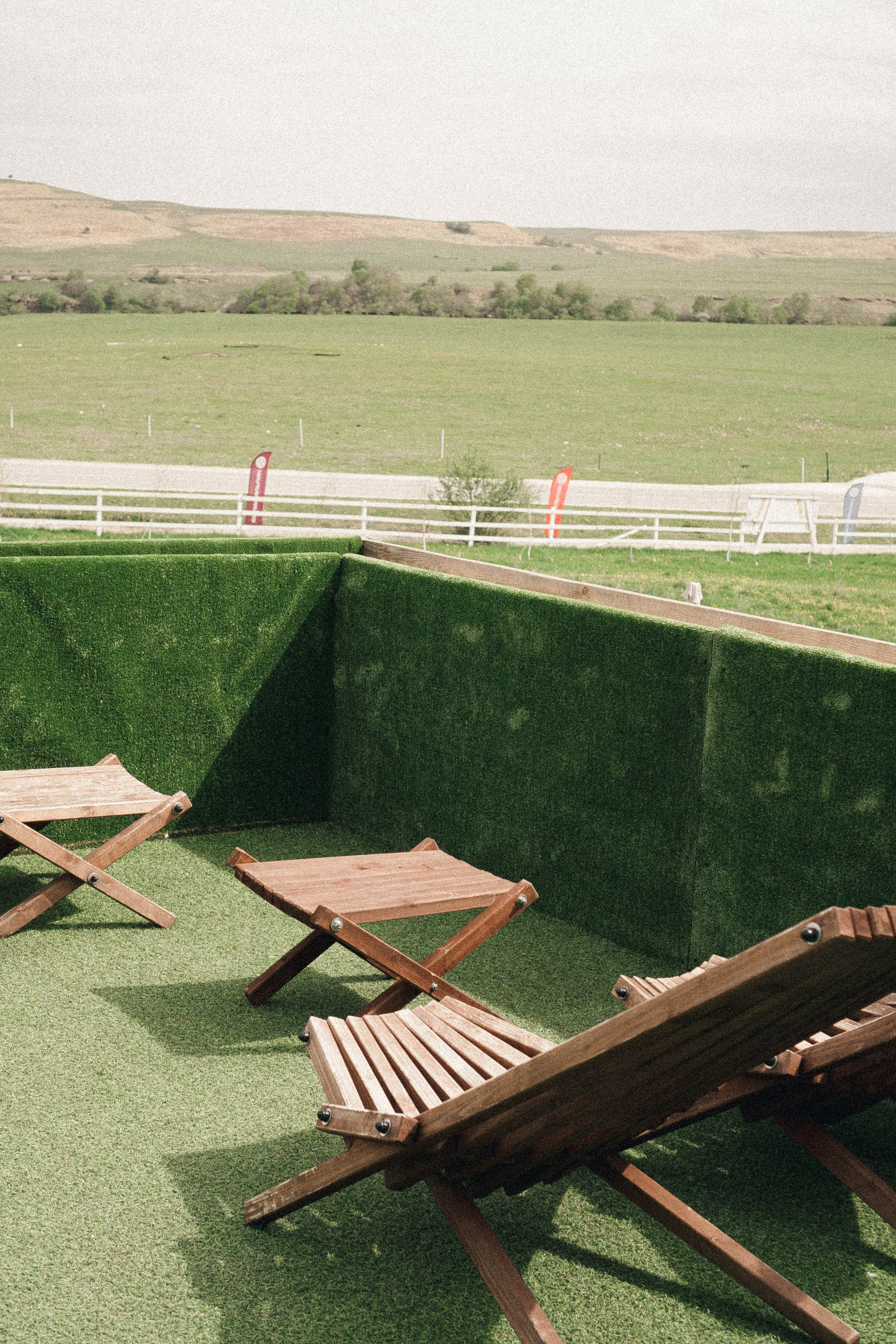 Ферма Альпак. Профессиональный фотограф, Санкт-Петербург — Виктория Богомолова