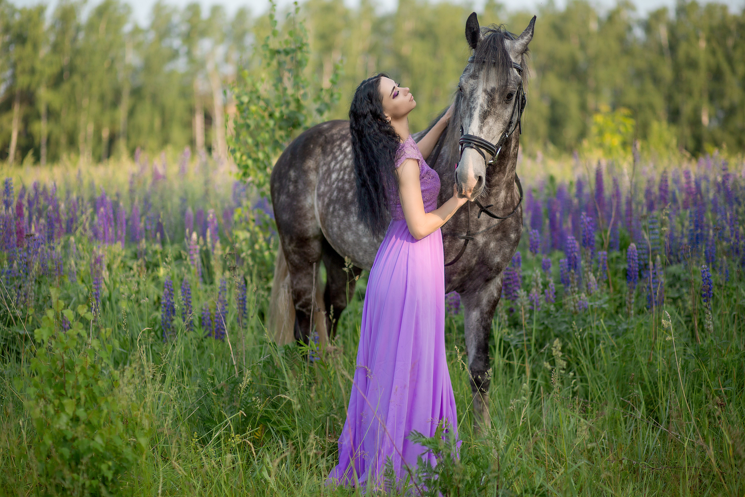 Надежда и Пророк. Фотосессия с лошадьми в Нижнем Новгороде