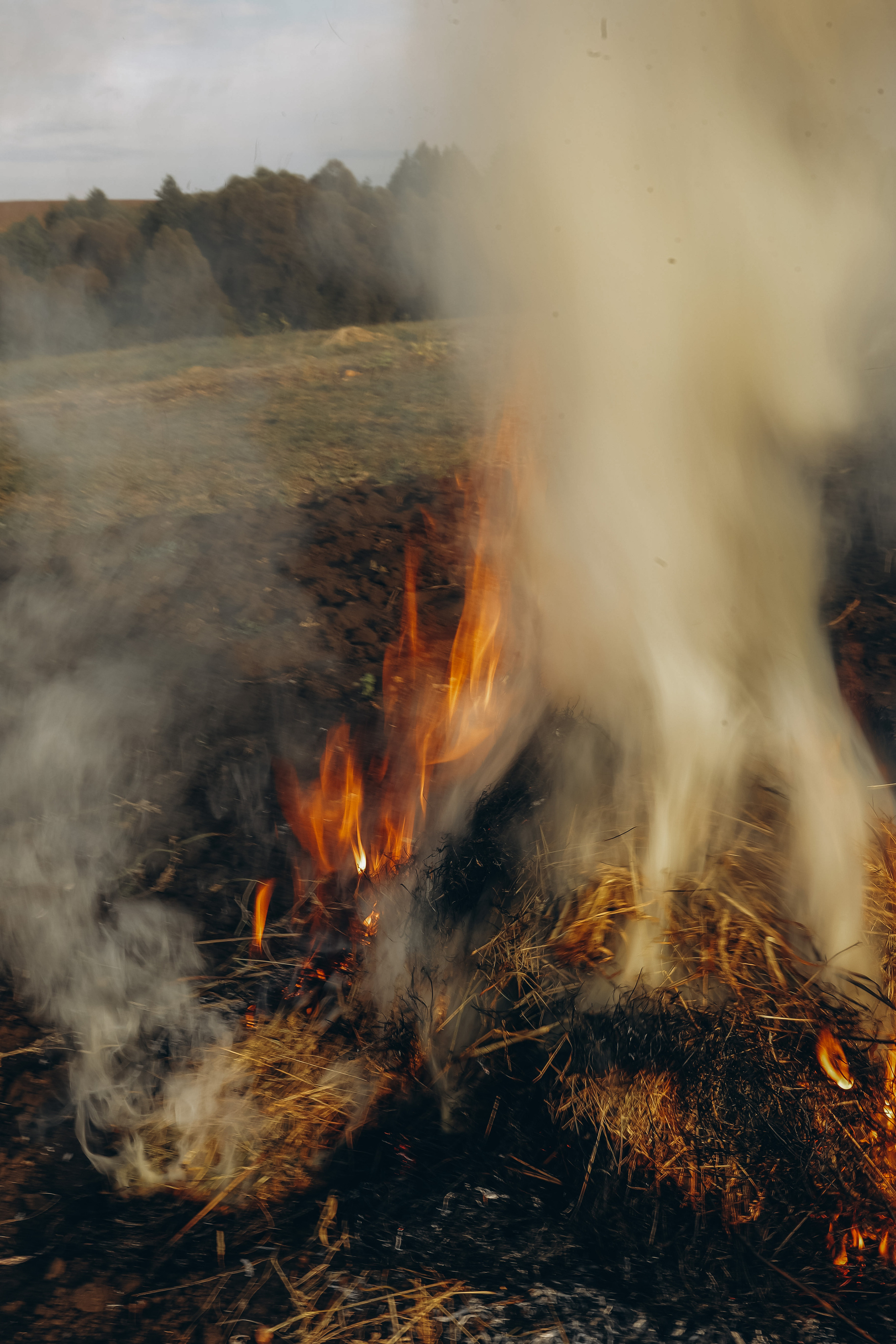 Деревенские зарисовки. Семейный LIFESTYLE фотограф в Москве