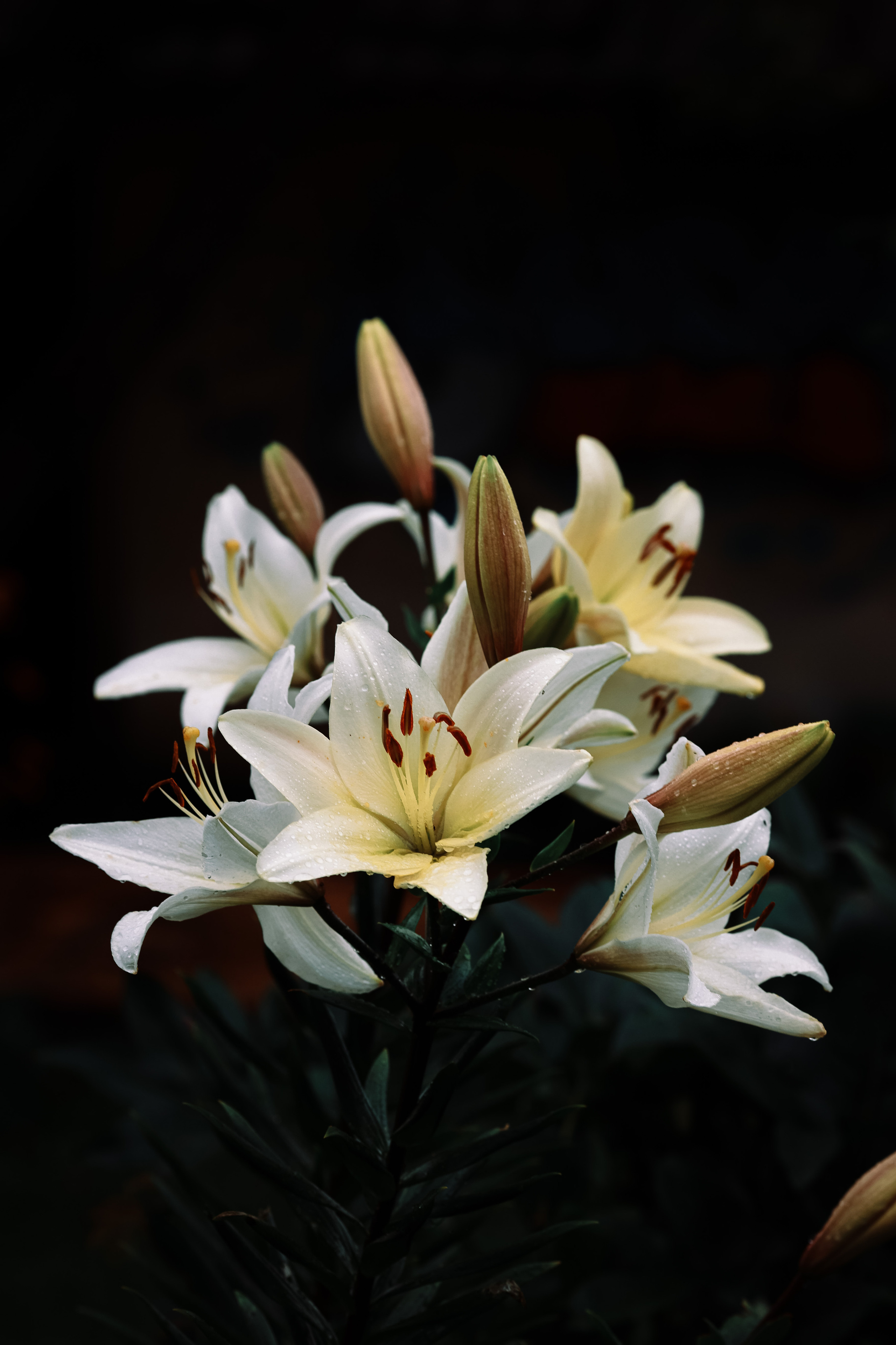 Деревенские зарисовки. Семейный LIFESTYLE фотограф в Москве