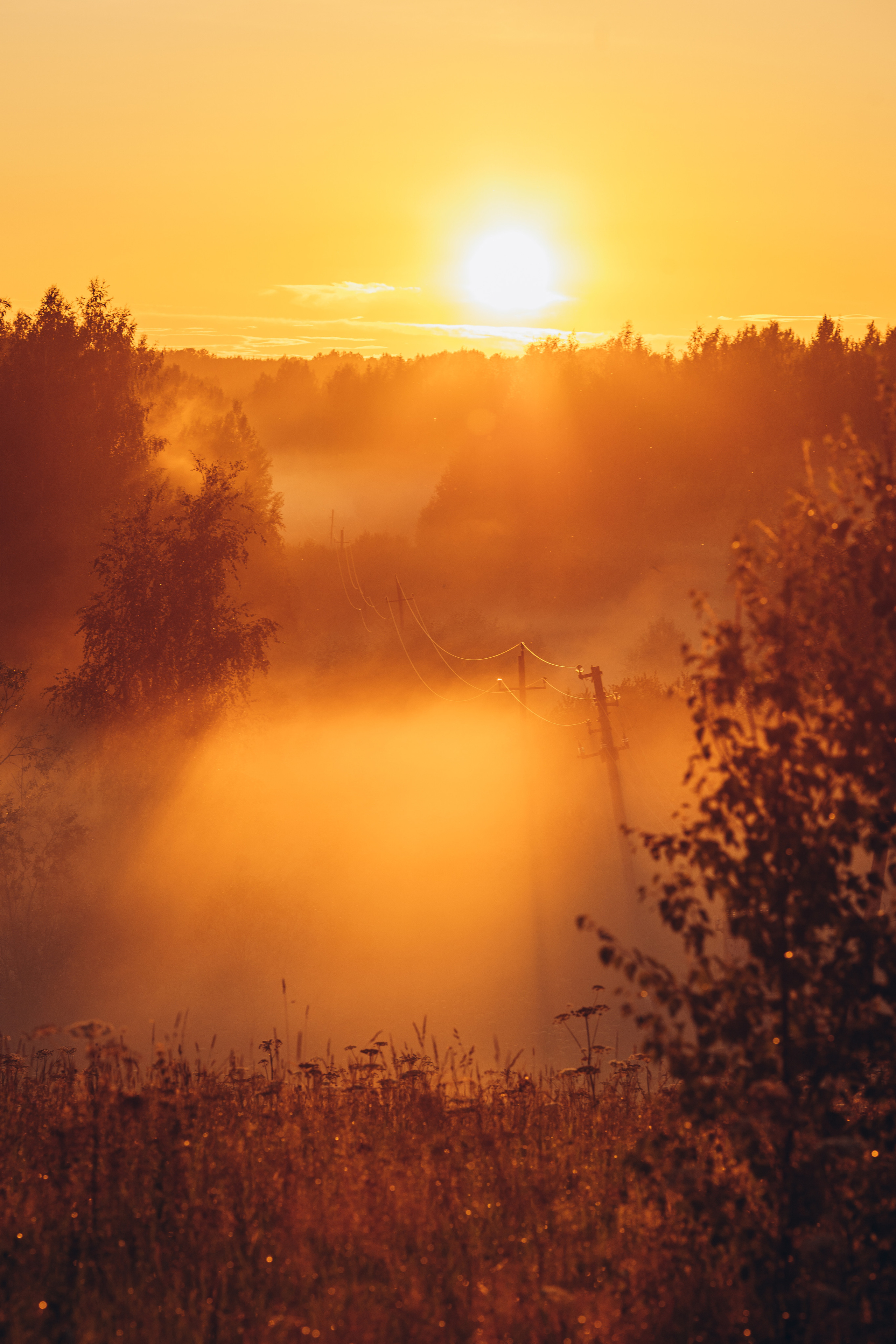 Деревенские зарисовки. Семейный LIFESTYLE фотограф в Москве