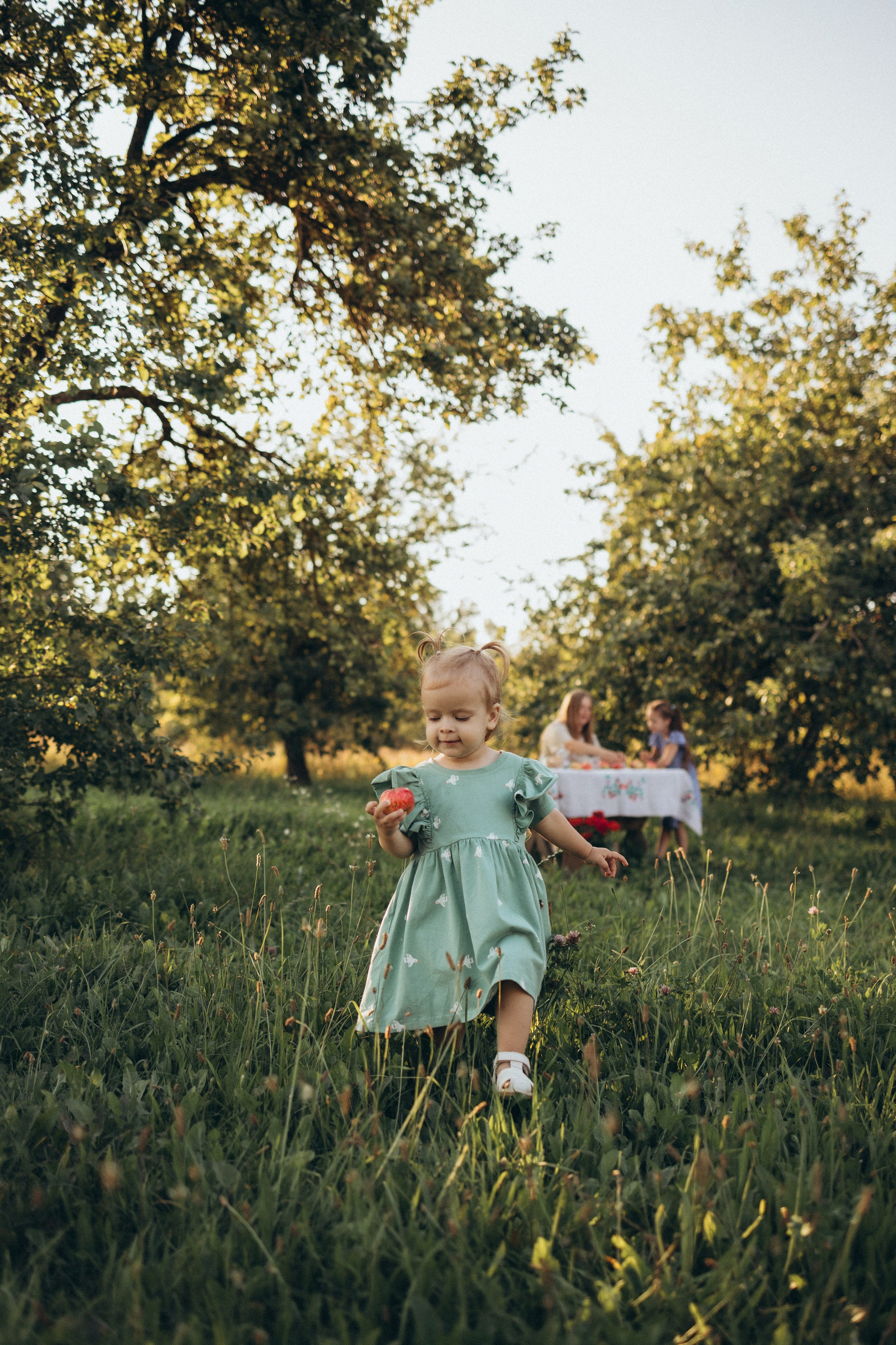 Чаепитие в саду. Фотограф Елена Рябцева