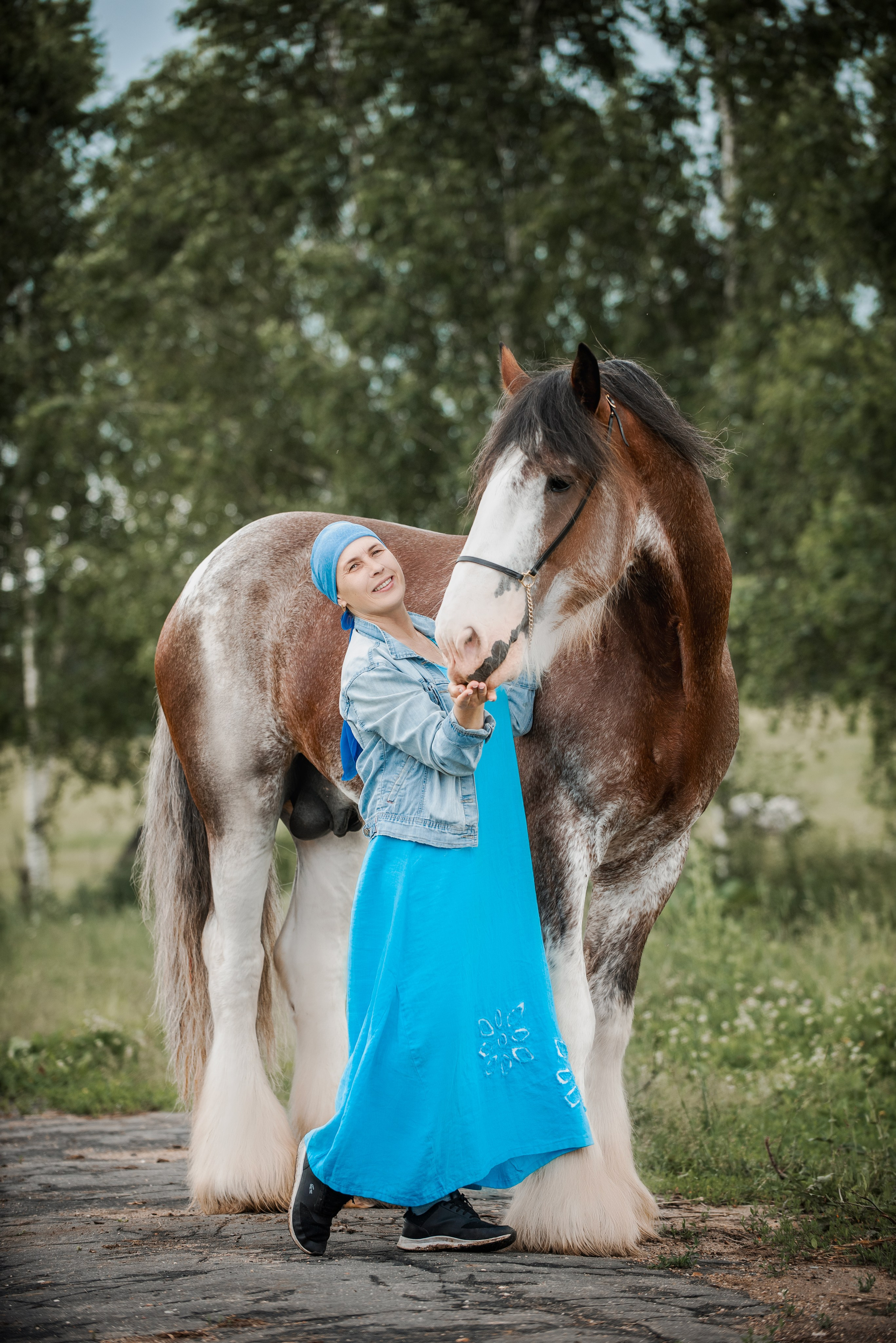 KOMARDINS. Конный фотограф Куракина Дарья • Фотосессии с лошадьми