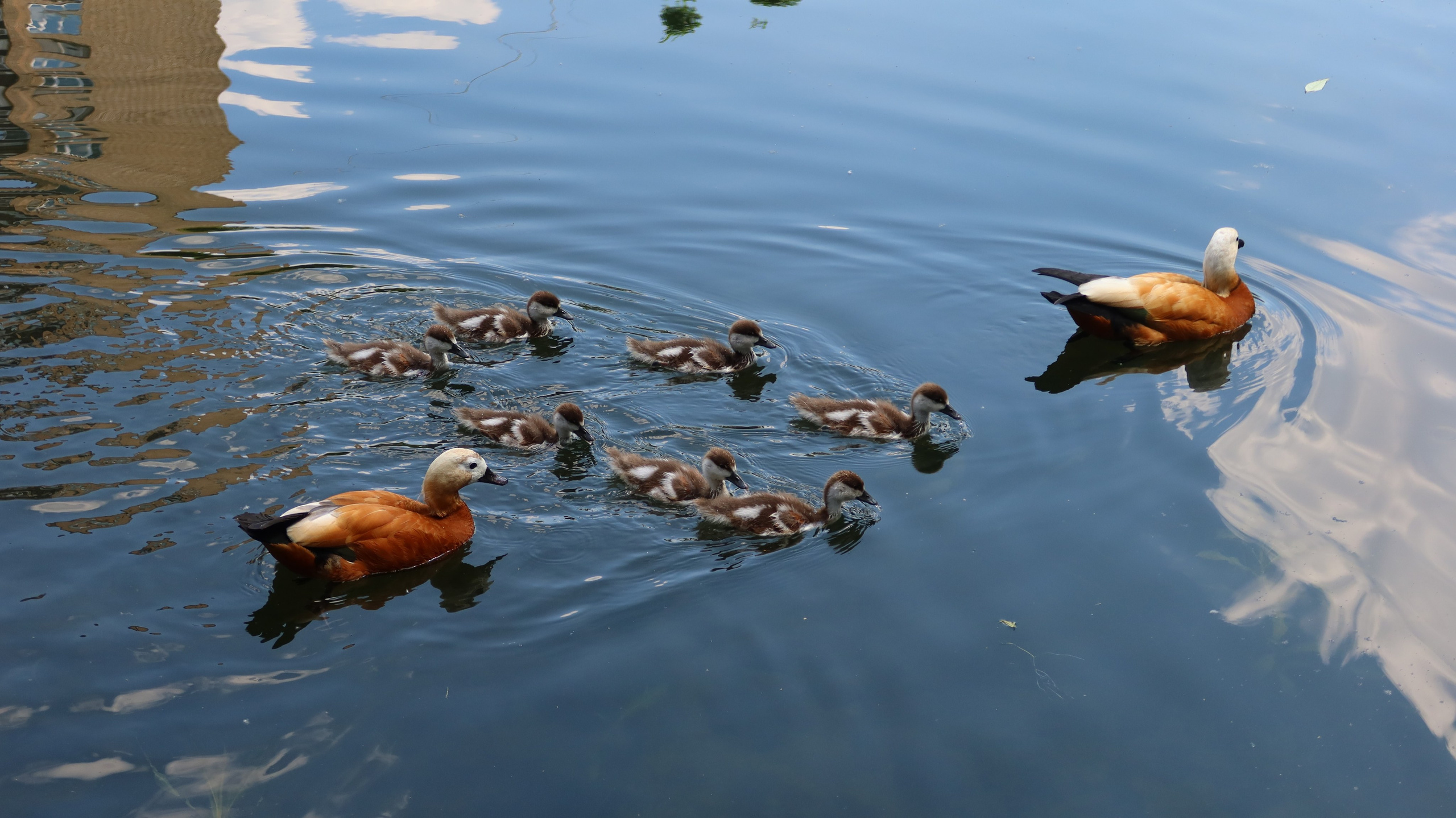 Антроповский сквер. Улица, люди, жизнь…
