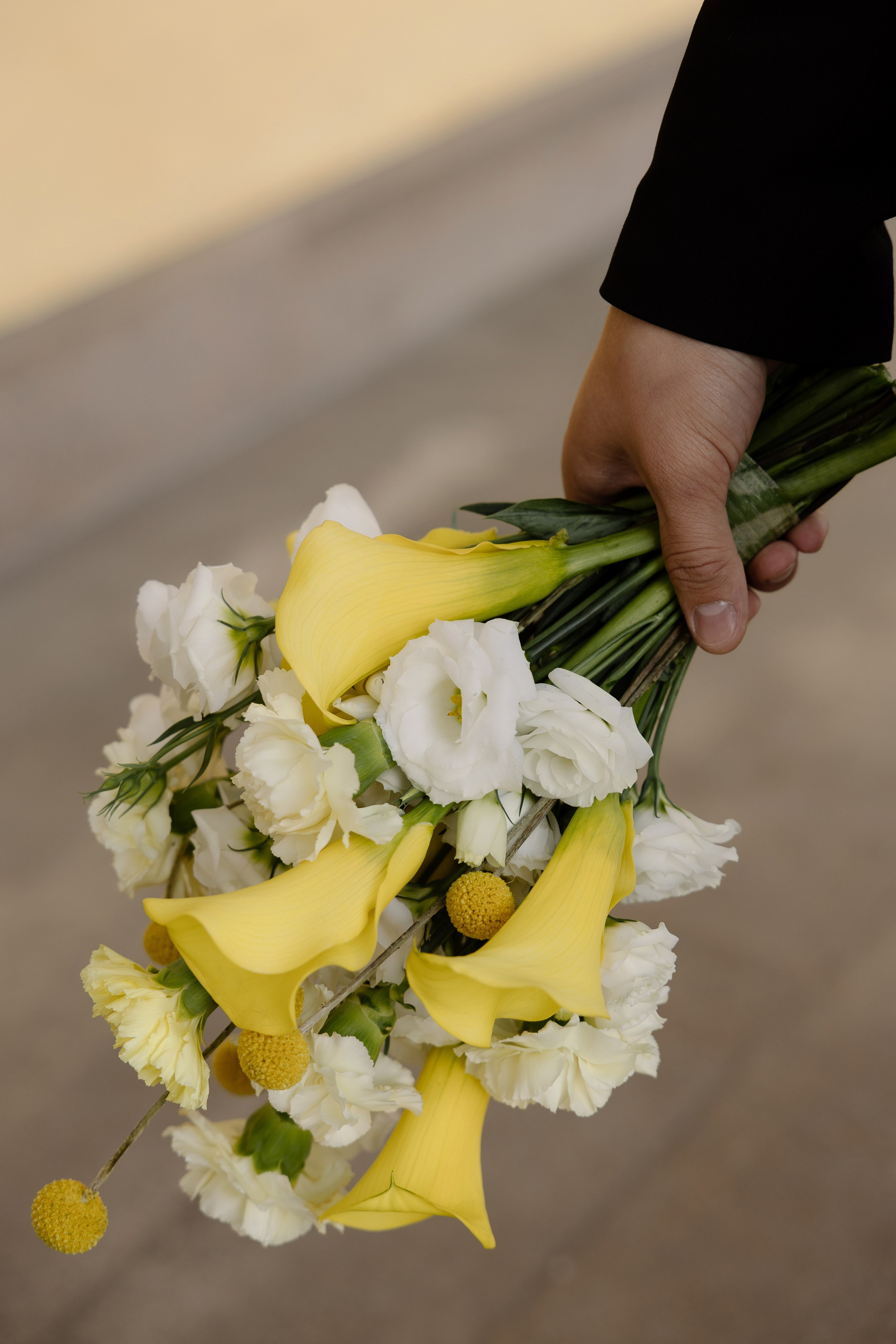 Сергей&Анна. Свадебный и семейный фотограф