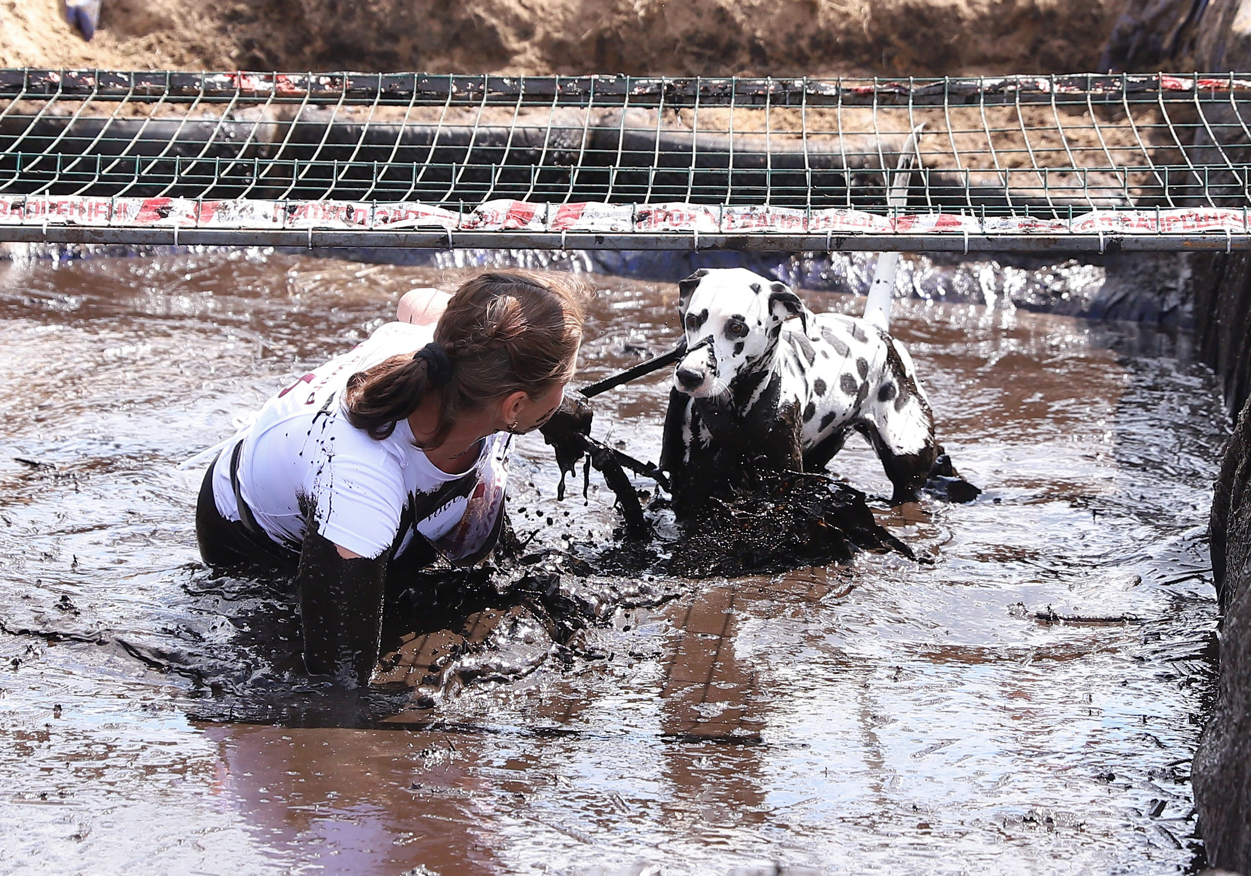 Хвостатый драйв. Семейный и детский фотограф в Москве и МО Елена Москвичева