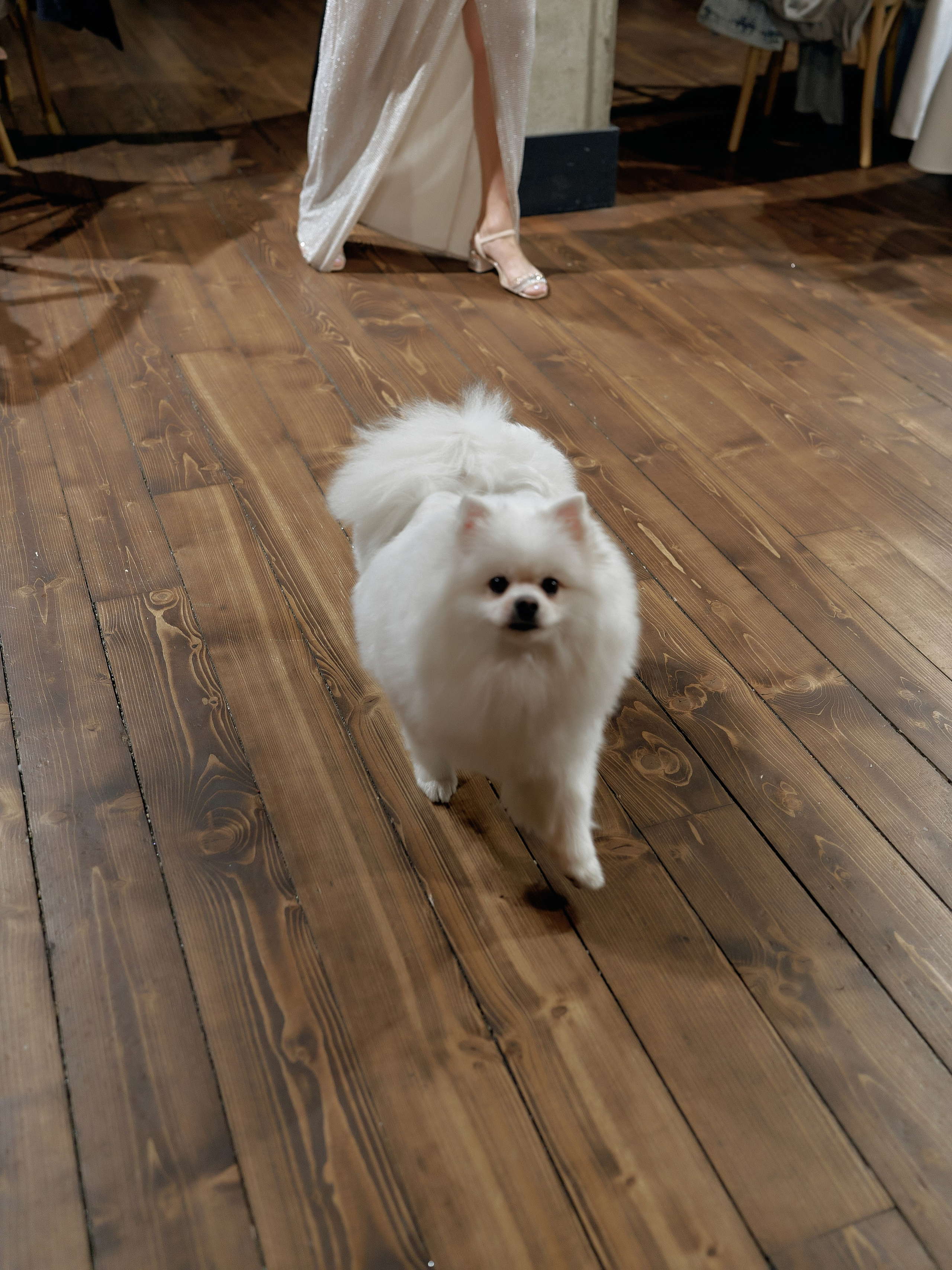 Константин и Ксения 16.09.2023. Фотограф и видеограф Елена Хмелевская