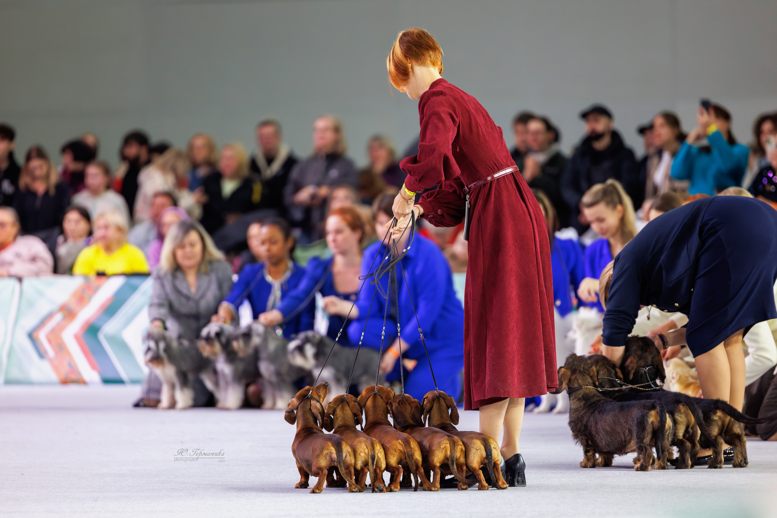 Евразия 15-16.11.2025. Фотограф-анималист Юлия Германика